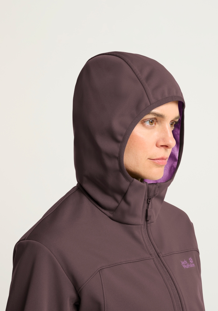 Jack Wolfskin Softshelljacke »WINDHAIN 2 HOODY W« mit wasserabweisendem und windabweisendem Obermaterial, normale Länge