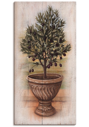 Leinwandbild »Olivenbaum mit Holzoptik«, Pflanzen, (1 St.)