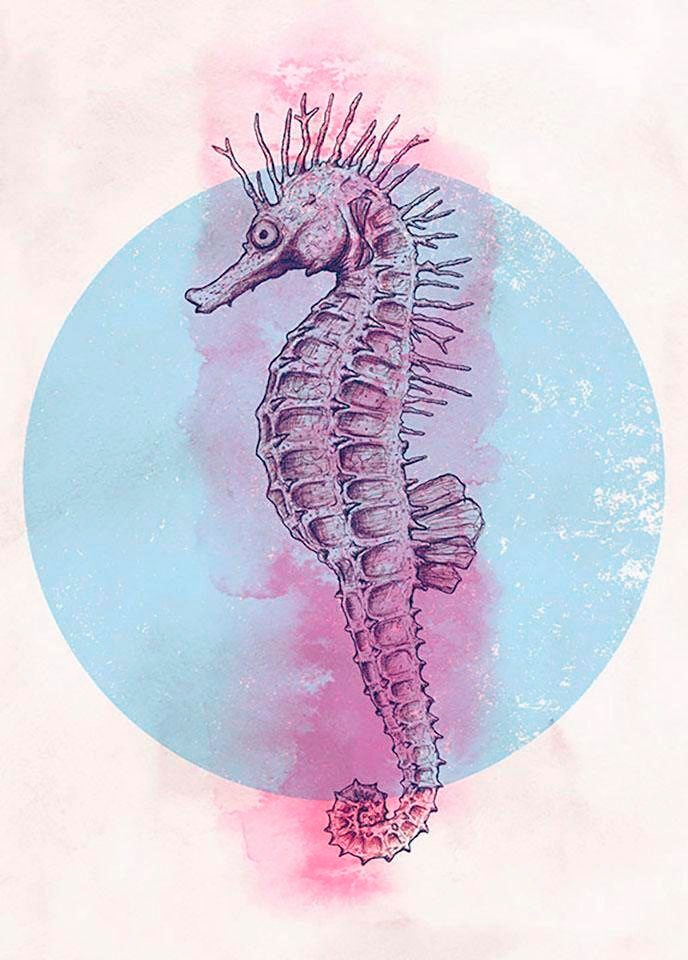 Komar Bild »Sea Horse Circle«, Tiere, (1 St.), Wandbild zur Dekoration - ohne Rahmen