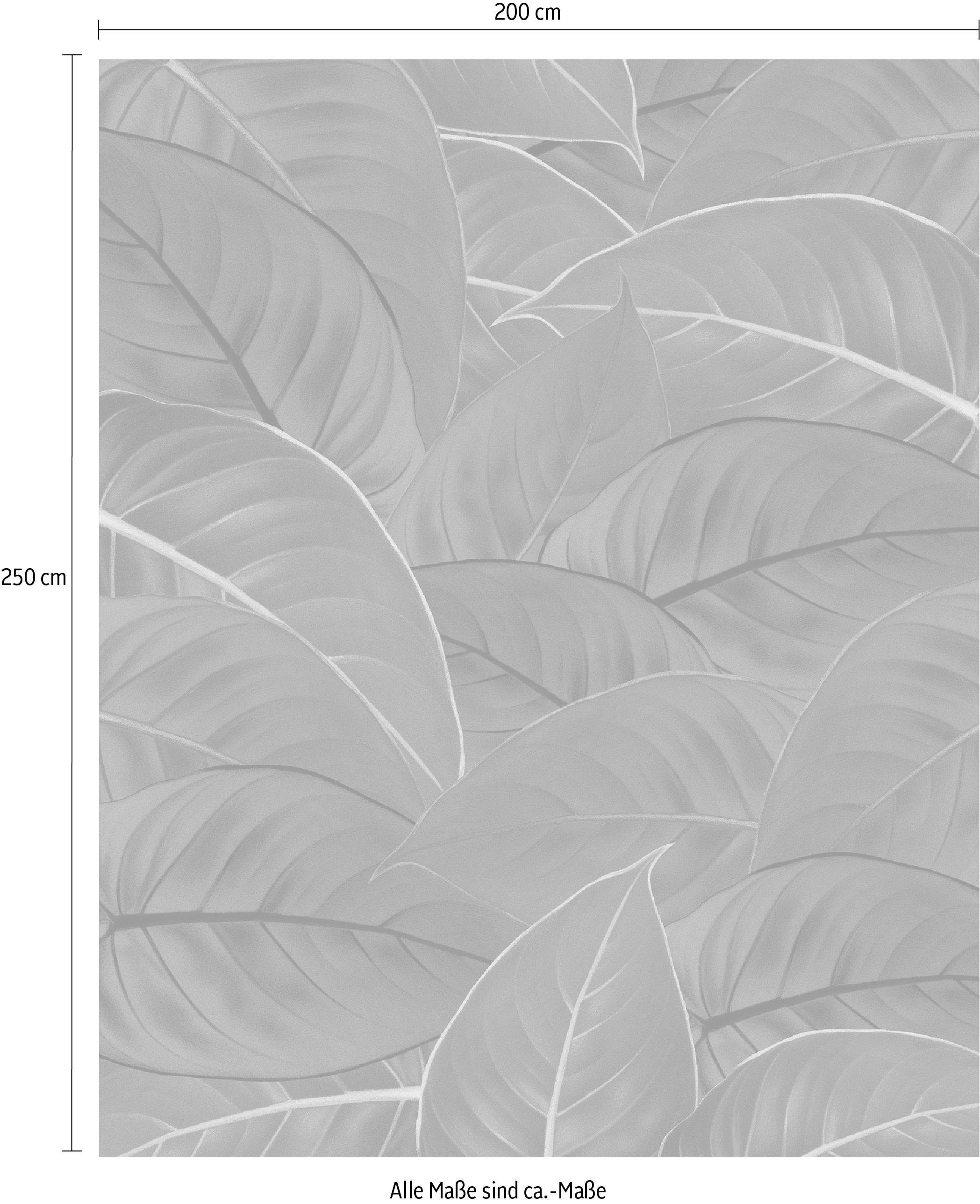 Komar Vliestapete »Digitaldruck Vlies - Foliage - Größe 200 x 250 cm«, bedruckt, Wohnzimmer, Schlafzimmer