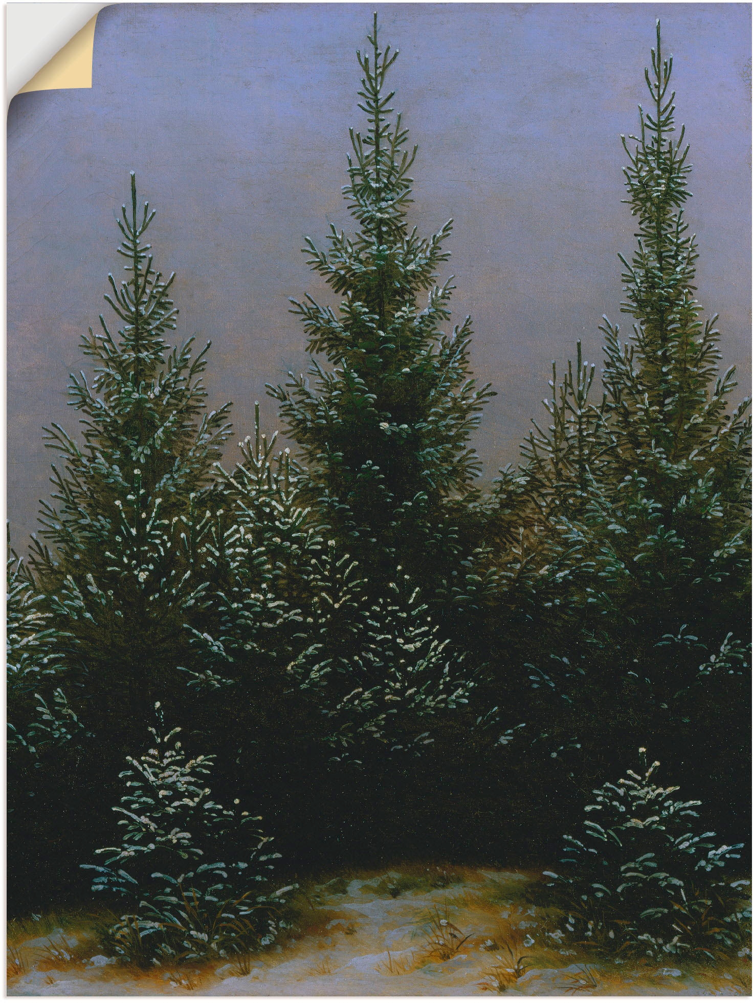 Artland Wandbild »Fichtendickicht im Schnee Dresdner Heide«, Bäume, (1 St.), in vielen Größen & Produktarten - Alubild / Outdoorbild für den Außenbereich, Leinwandbild, Poster, Wandaufkleber / Wandtattoo auch für Badezimmer geeignet