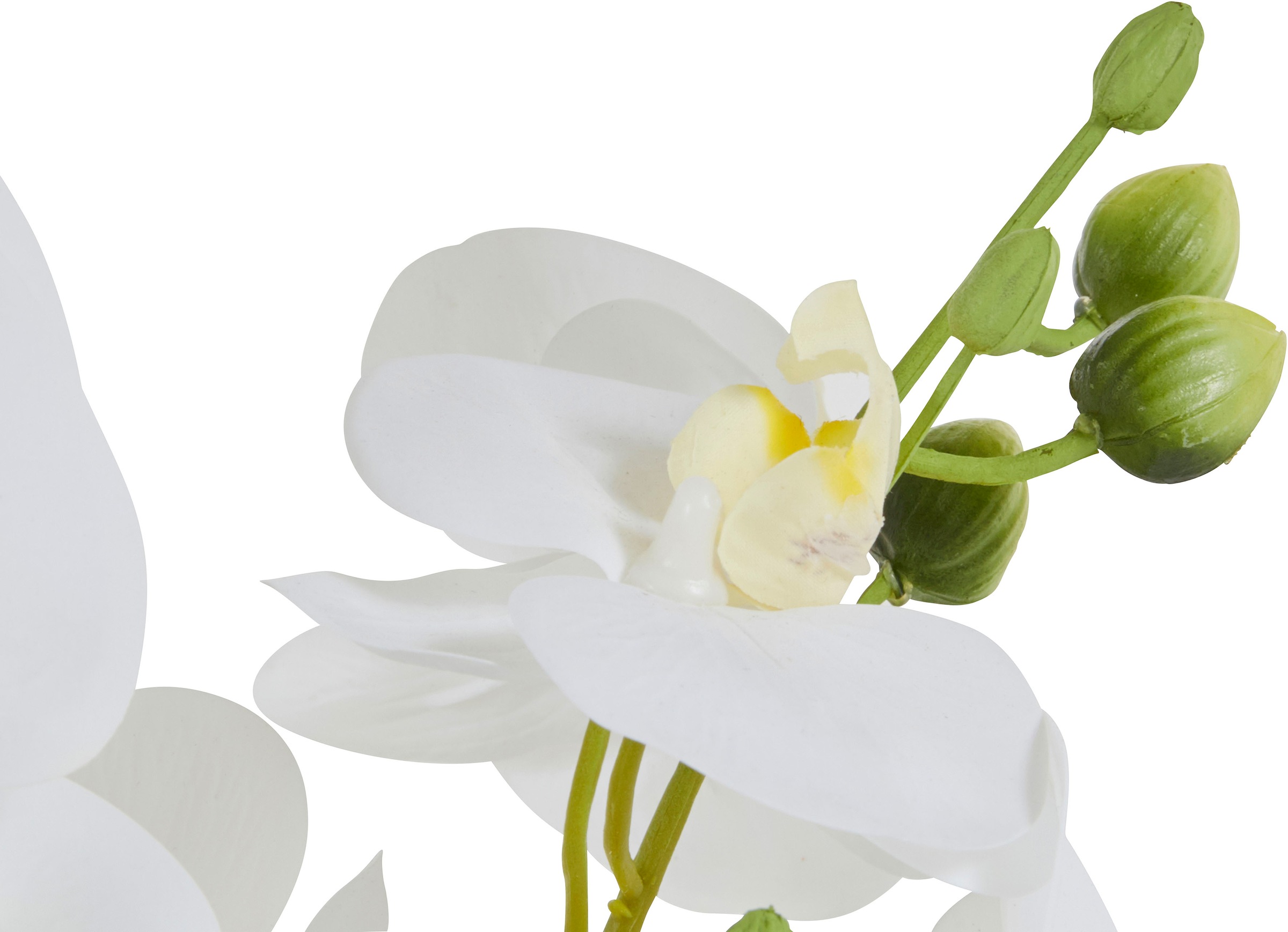 Leonique Kunstpflanze »Orchidee«, Kunstorchidee, im Topf, Bestseller, über 2500 4,5-Sterne-Bewertungen