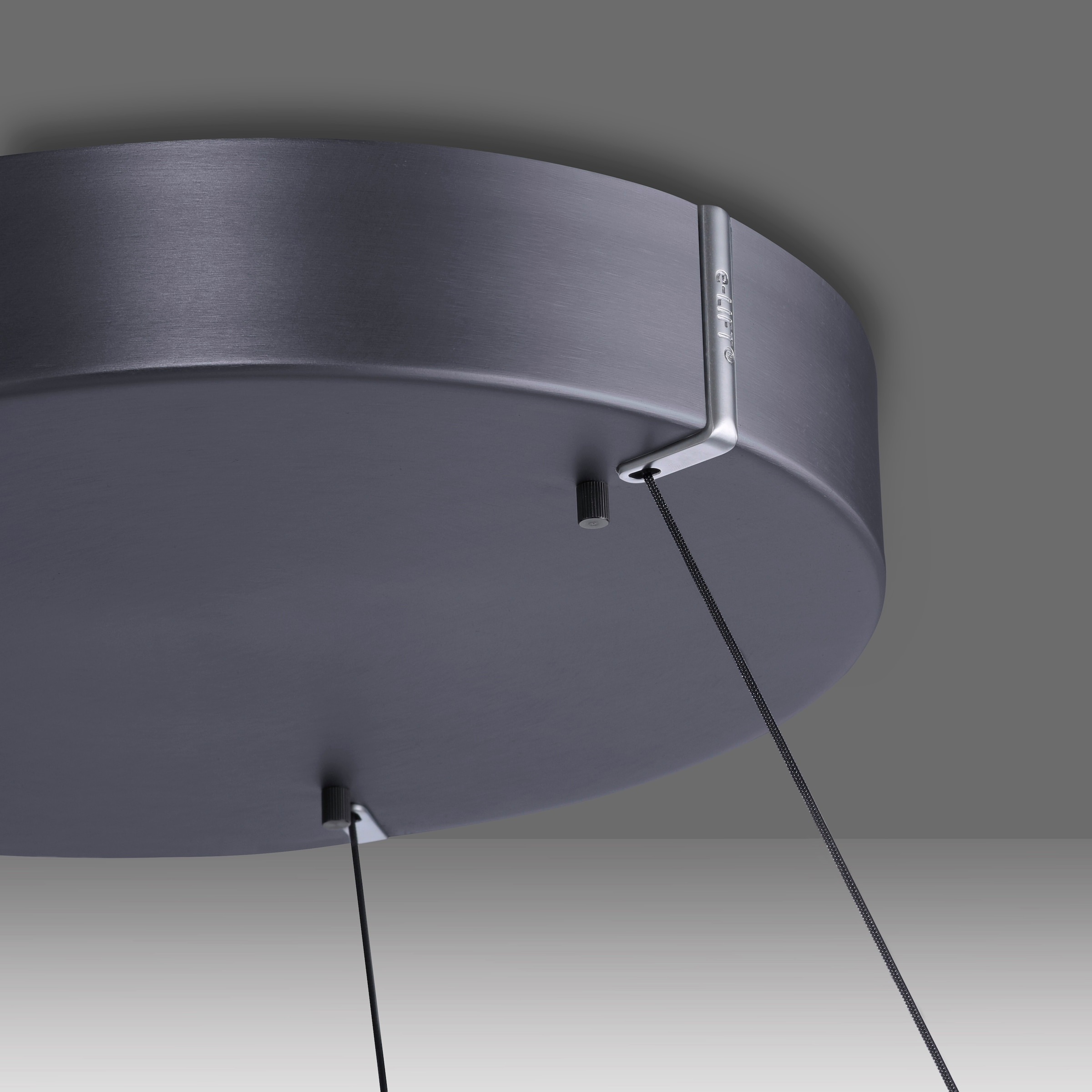 Neuhaus PURE LED Pendelleuchte »PURE E-Loop« LED-Board 1 Stk. warmweiß - kaltweiß e-LIFT® Funktion, CCT, dimmbar über Fernbedienung