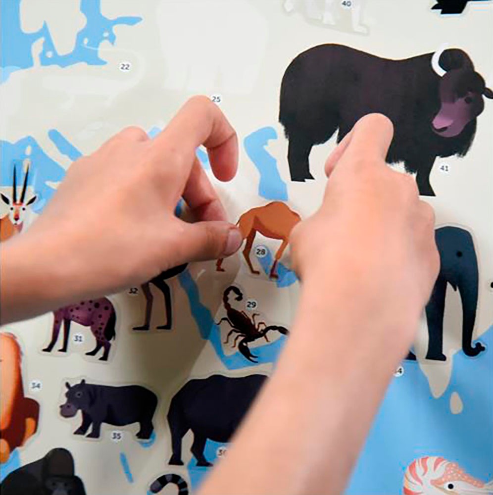 POPPIK Kreativset »Sticker Lernposter, Tiere der Welt«