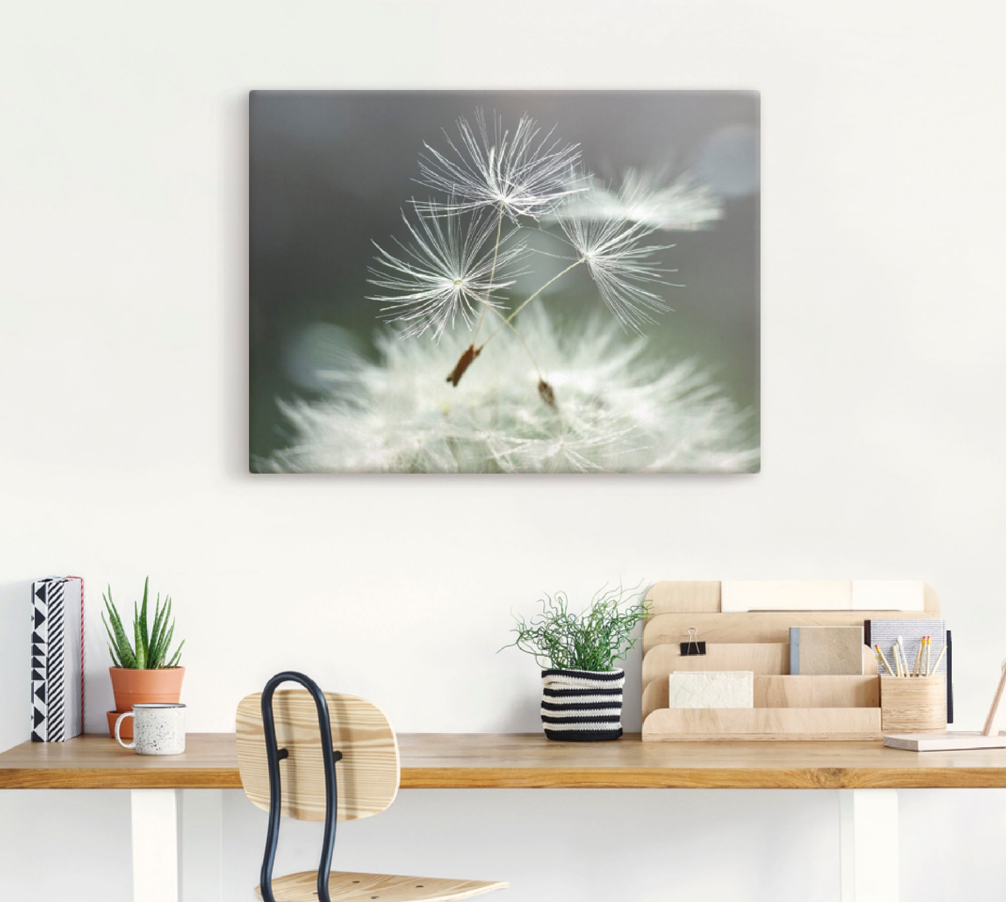 Artland Wandbild »Pusteblume Facility« Blumen 1 Stk. tlg. als Alubild, Leinwandbild, Poster in verschied. Größen
