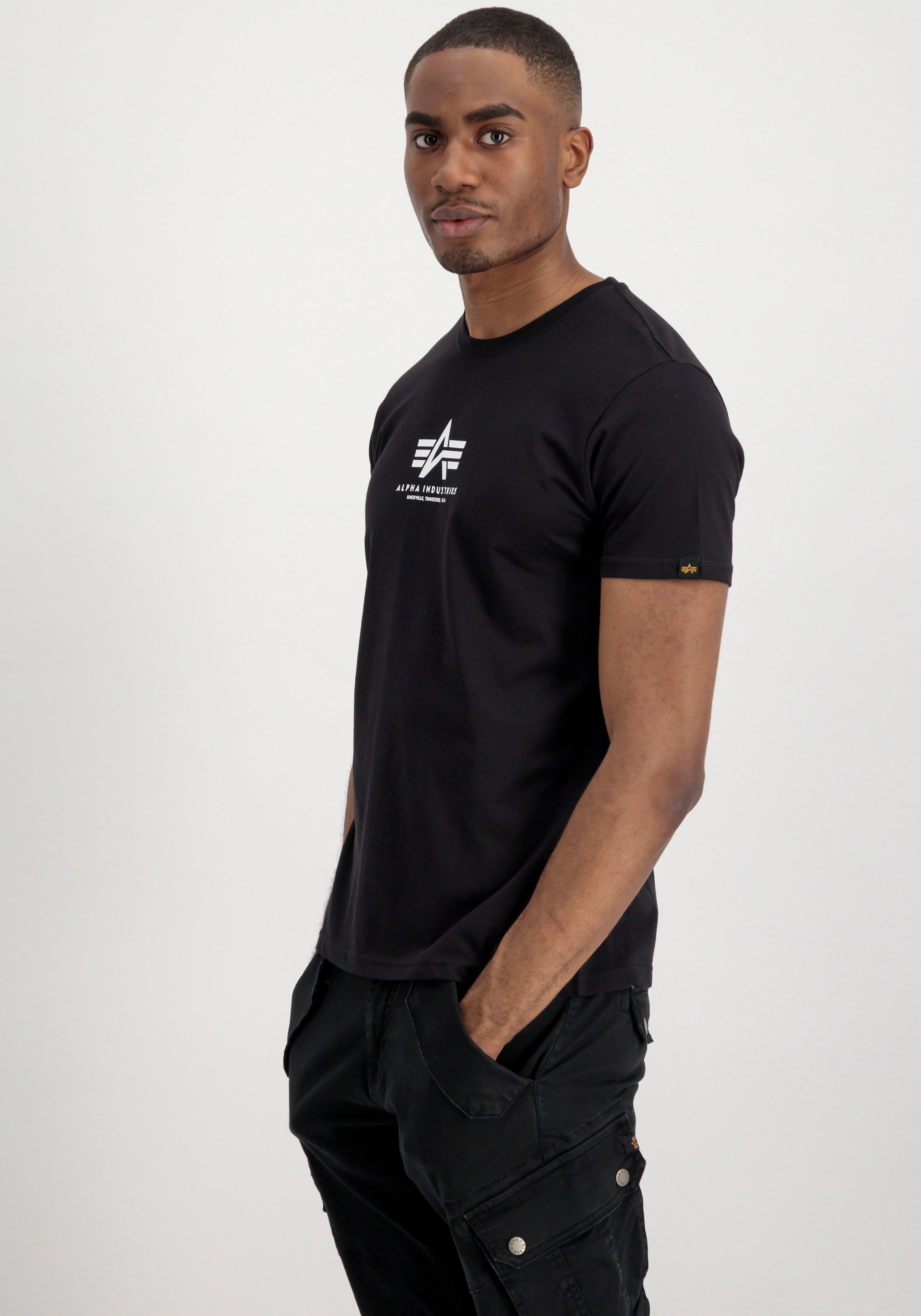 Alpha Industries Rundhalsshirt »Basic T ML«