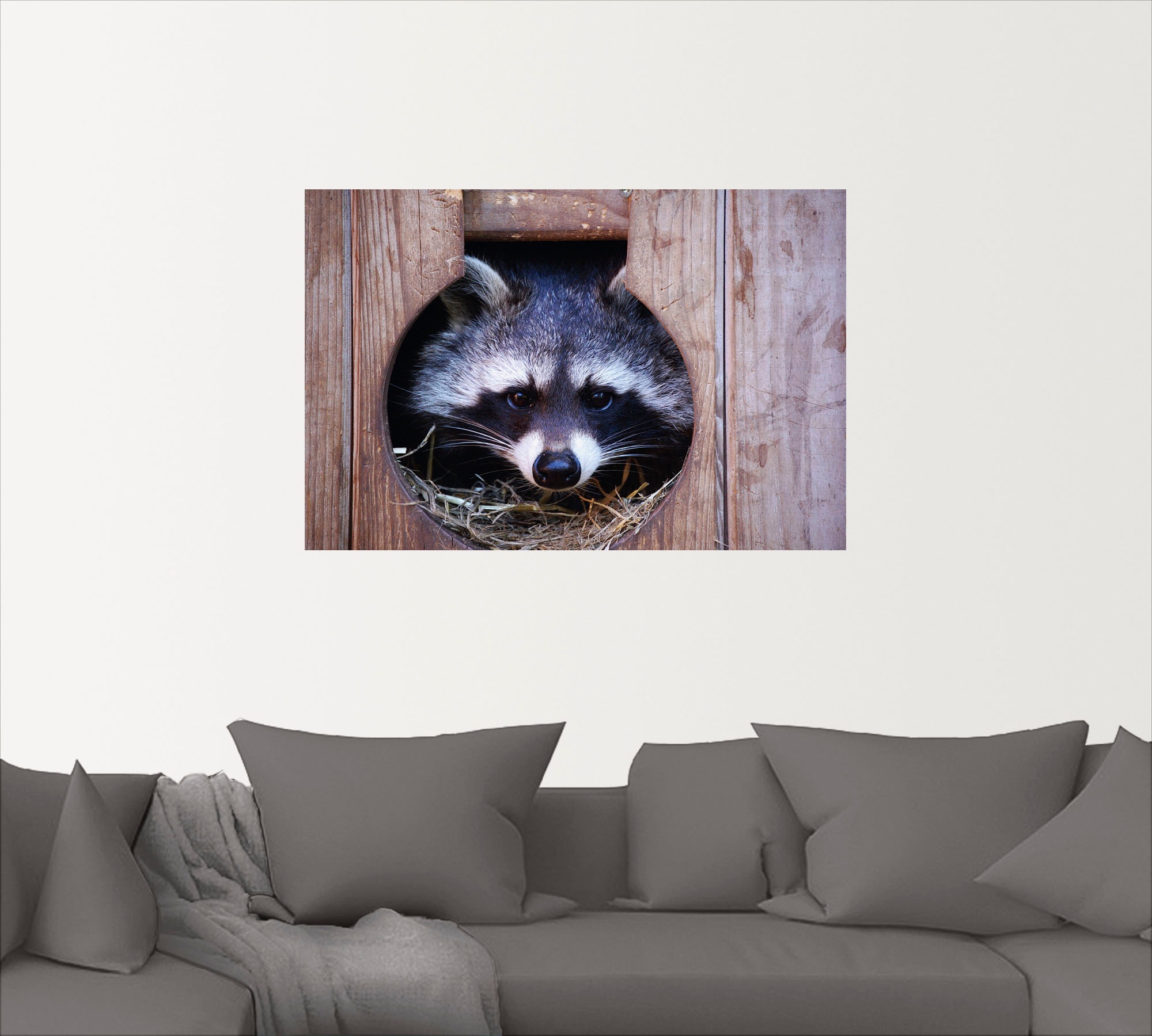 Artland Wandbild »Niedlicher kleiner Waschbär«, Wildtiere, (1 St.), als Leinwandbild, Wandaufkleber in verschied. Größen