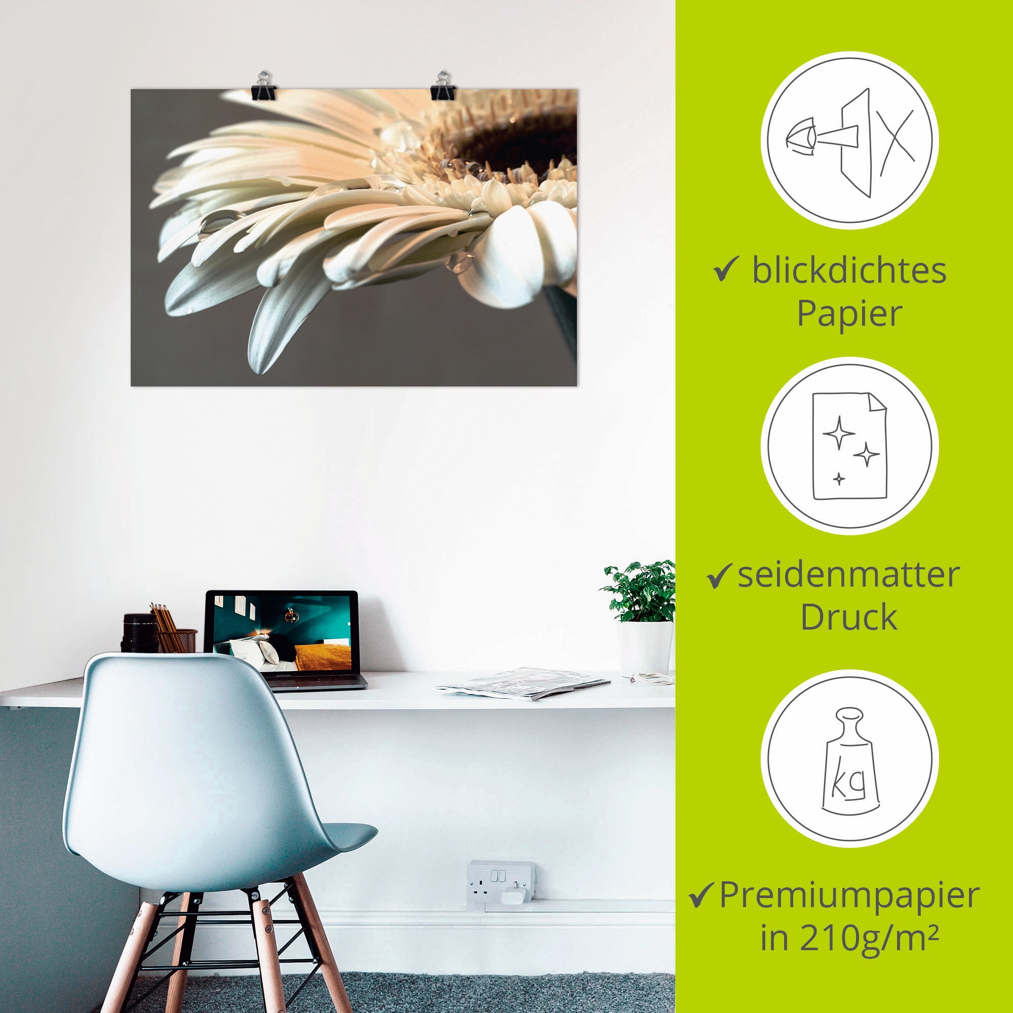 Artland Wandbild »Blüte einer Gerbera«, Blumen, (1 St.), als Leinwandbild, Poster, Wandaufkleber in verschied. Größen