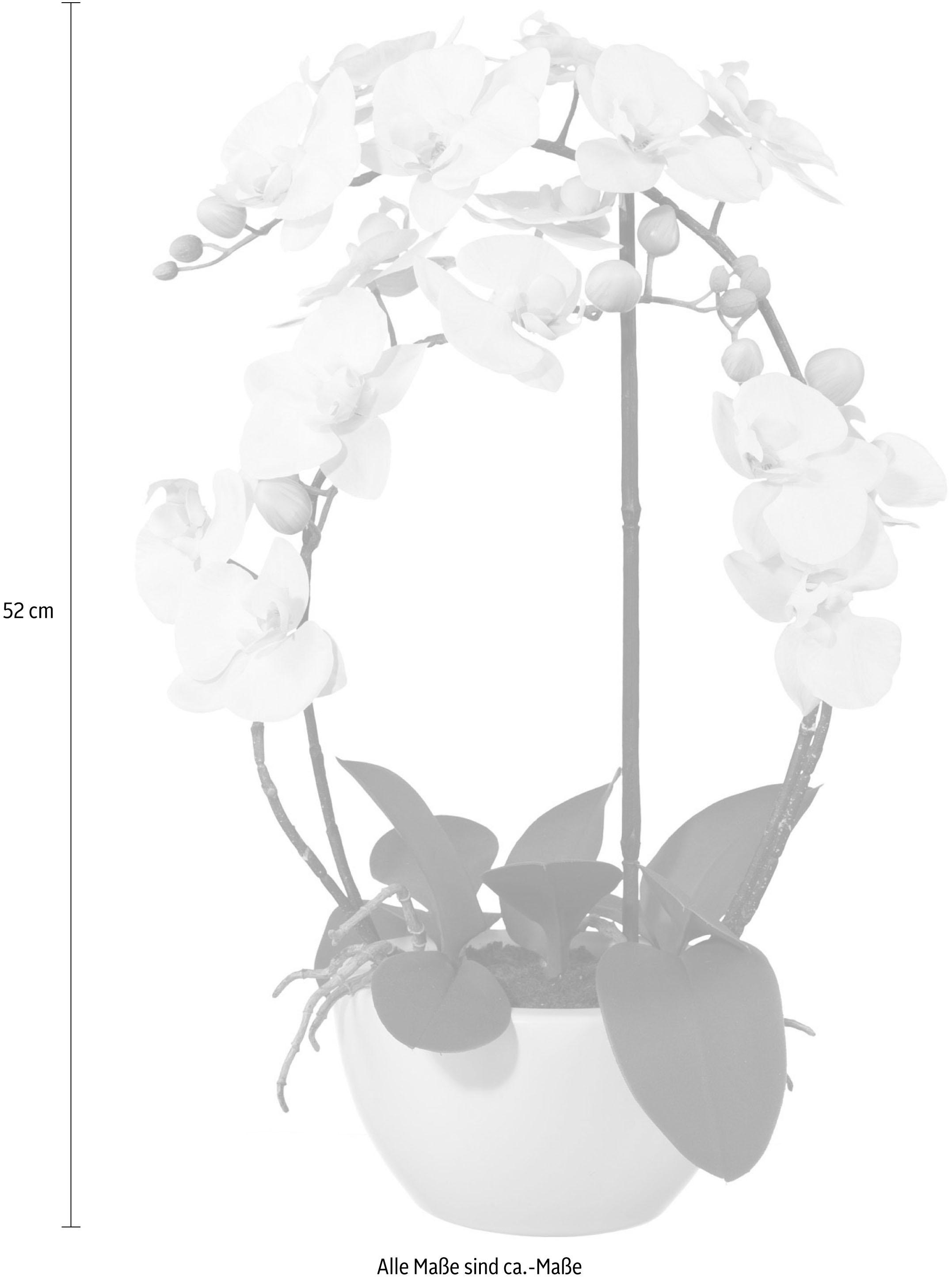 Creativ green Kunstpflanze »Phalaenopsis«