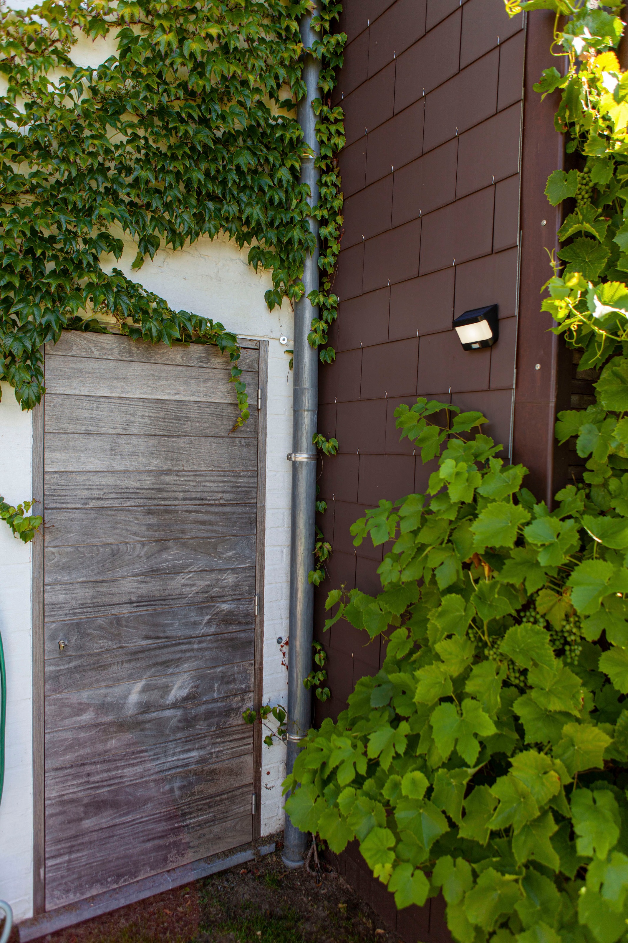 LUTEC LED Solarleuchte »TRY«, Leuchtmittel LED-Modul | LED fest integriert