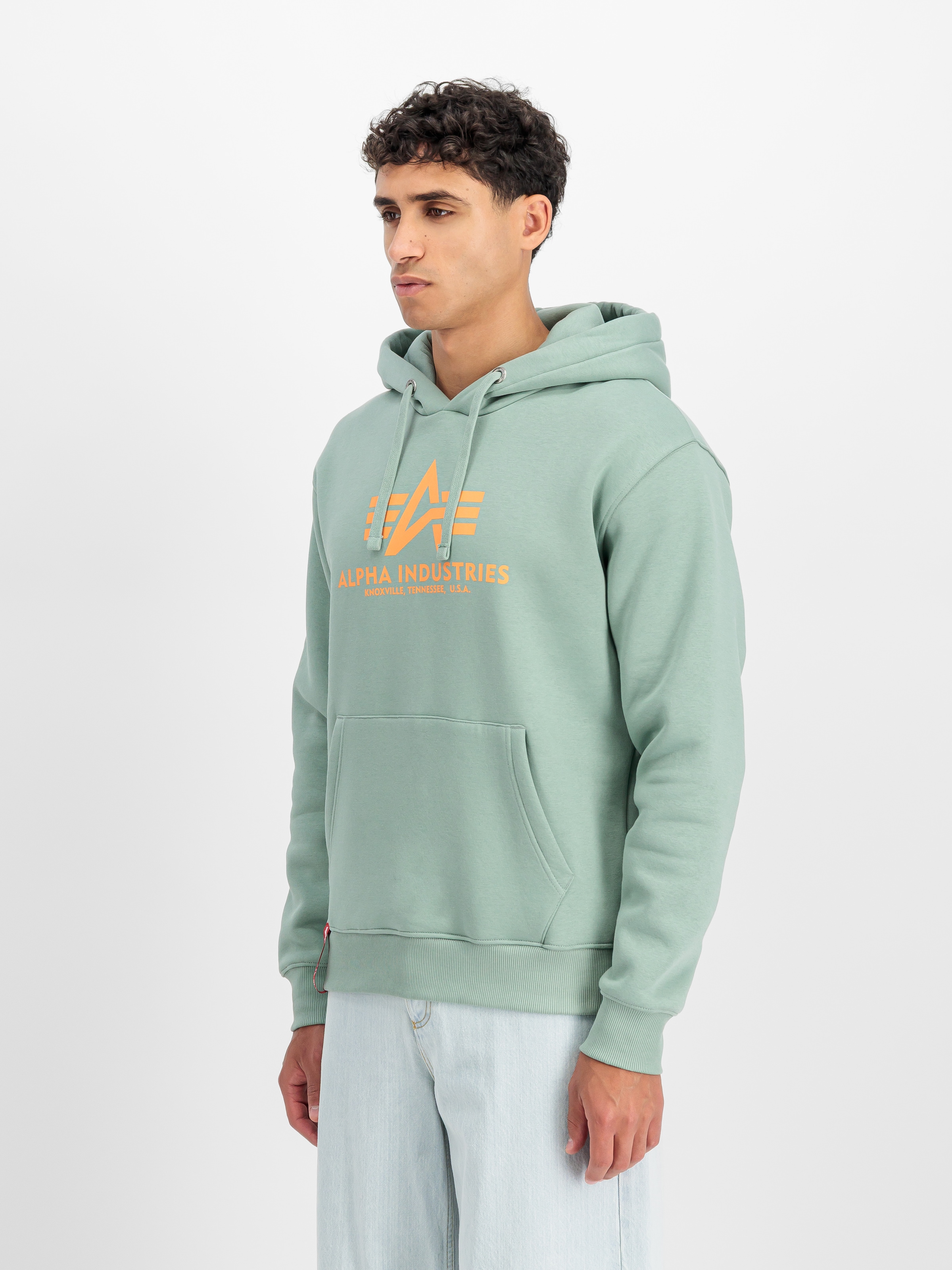 Alpha Industries Kapuzensweatshirt »Basic Hoody«, Baumwollmischung, regular fit
