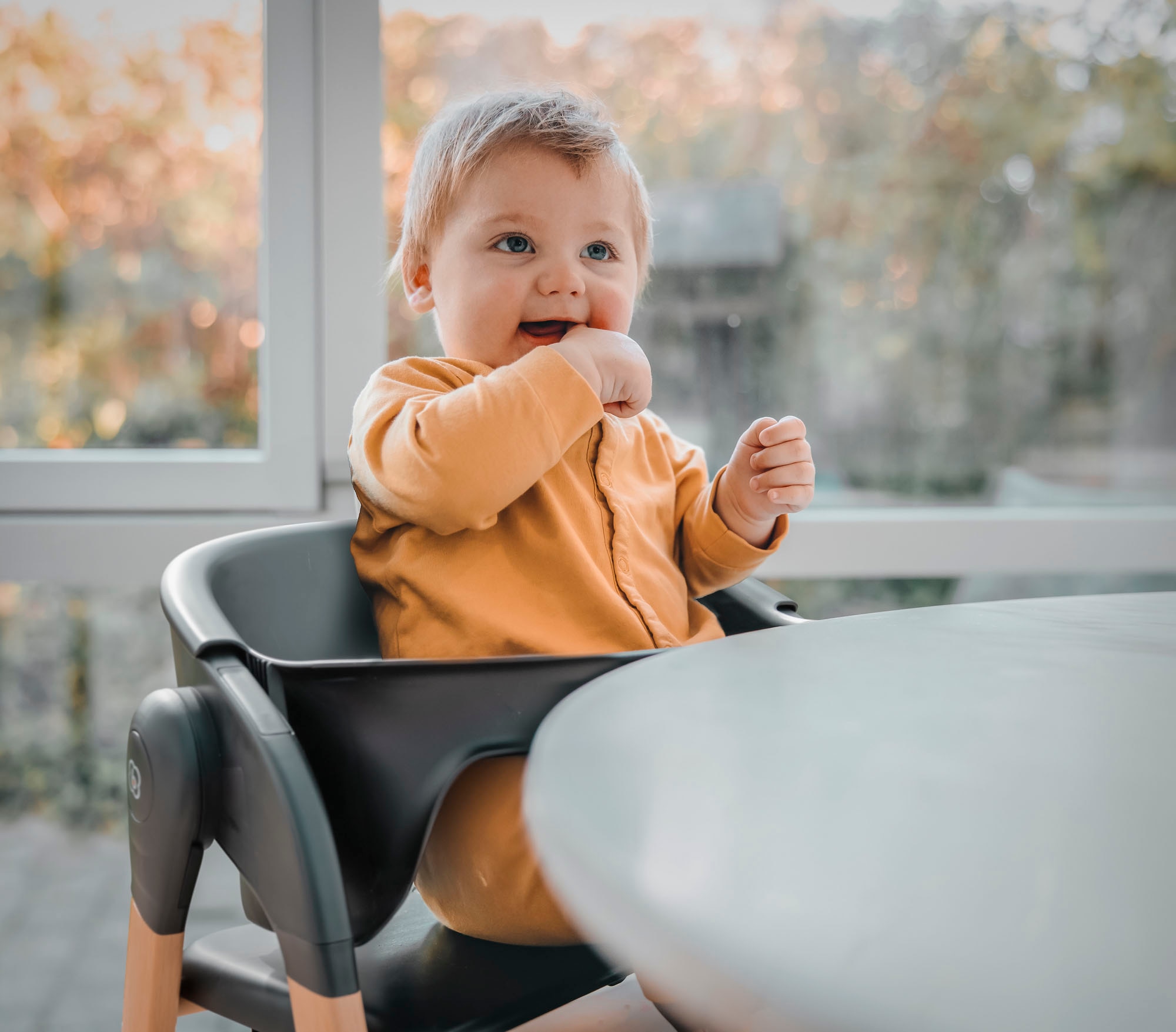 BabyGo Hochstuhl »Levels, black wood optic« () platzsparend zusammenklappbar