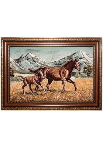 Wandteppich »Bild-Teppich Figurativ 85 x 60 cm«, rechteckig