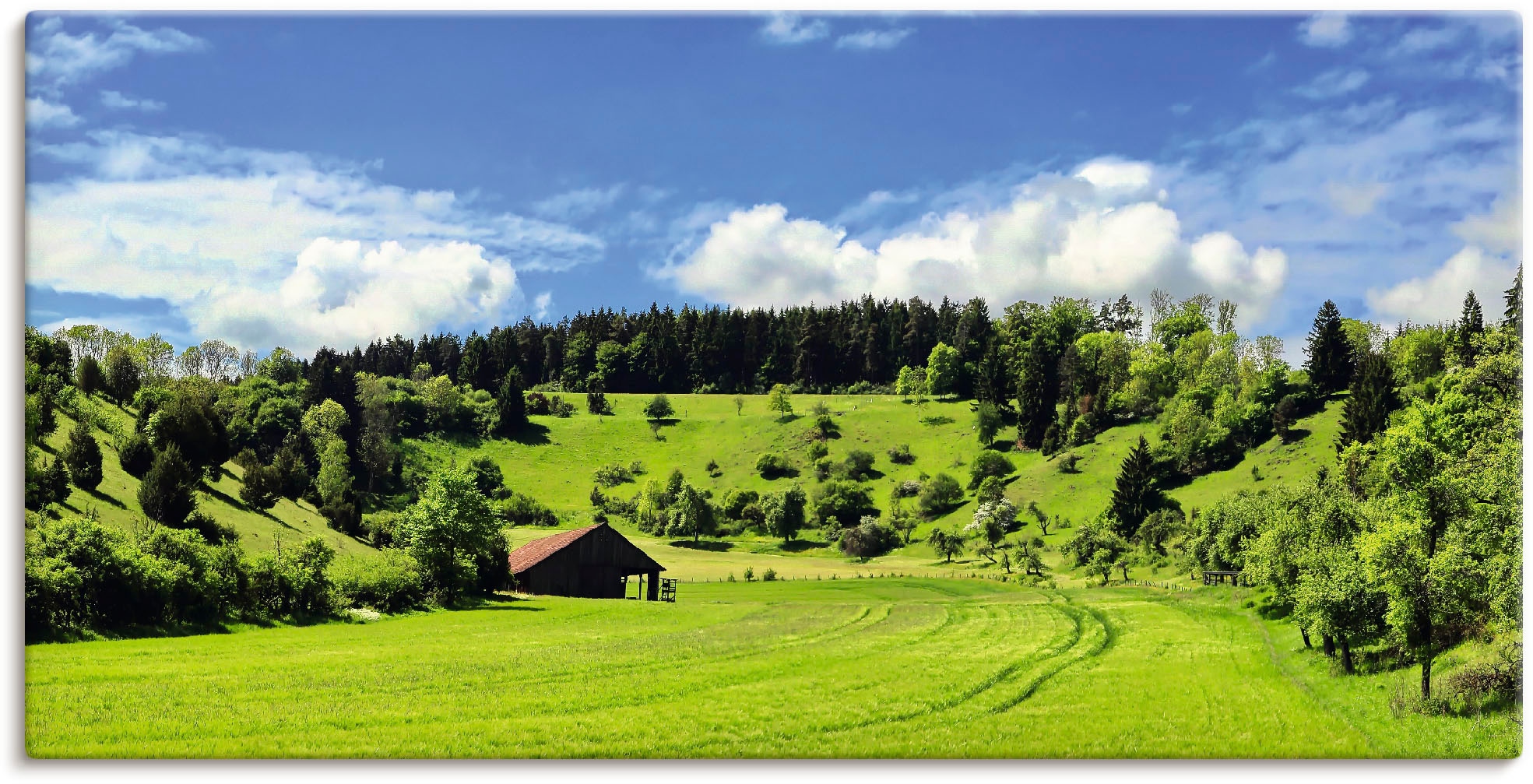 Artland Wandbild »Traumhafte Landschaft im Schwarzwald«, Wiesen &  Baumbilder, (1 St.) online bei OTTO