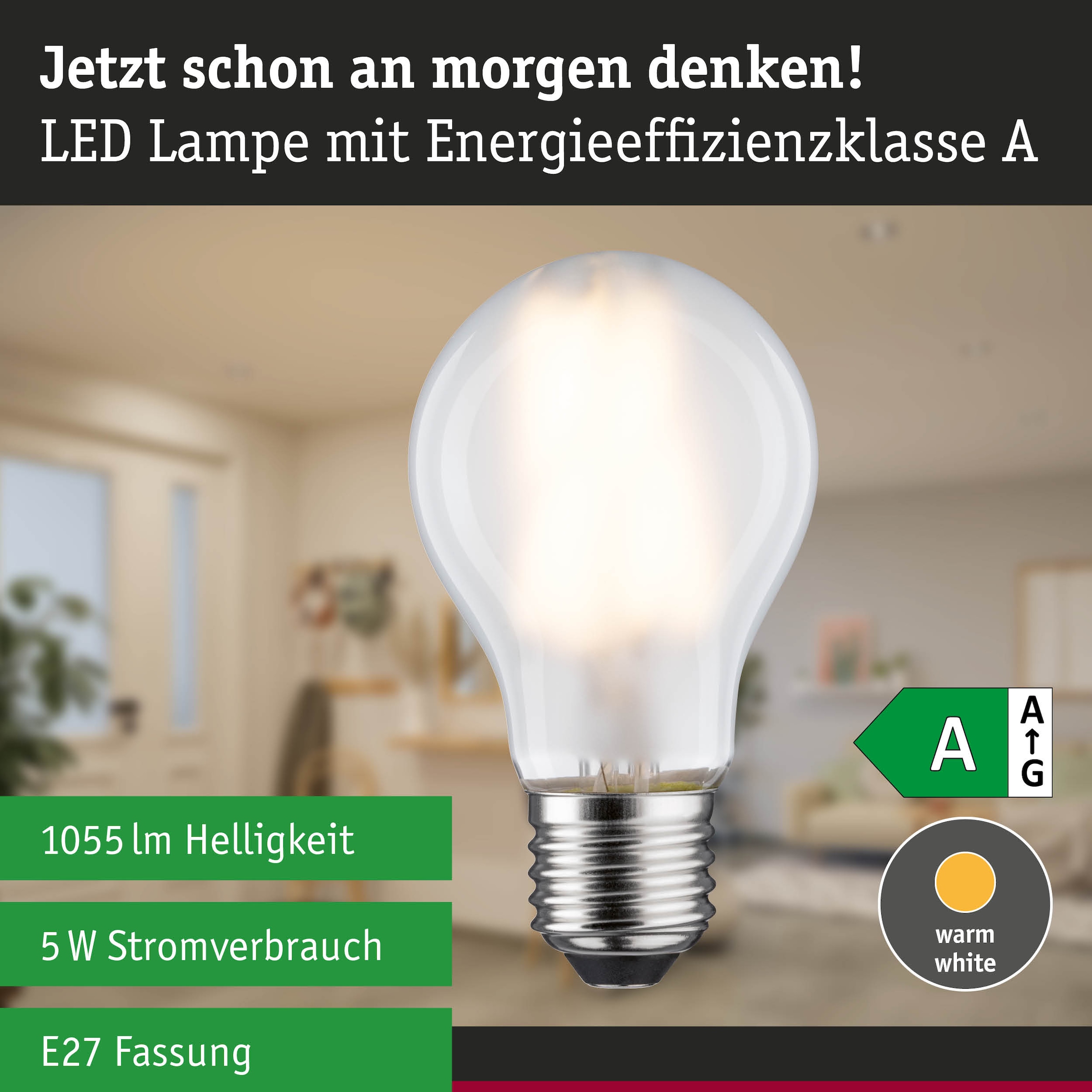 Paulmann LED-Leuchtmittel »Efficient-Line Filament 230V LED Birne E27 1 St. 1055lm 5W 3000K Matt« E27 1 Stk. Warmweiß