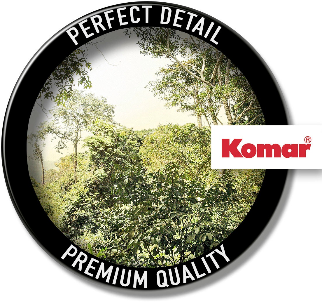 Komar Vliestapete »Digitaldruck Vlies -  Dschungel - Größe 400 x 260 cm« bedruckt glatt Wohnzimmer, Schlafzimmer