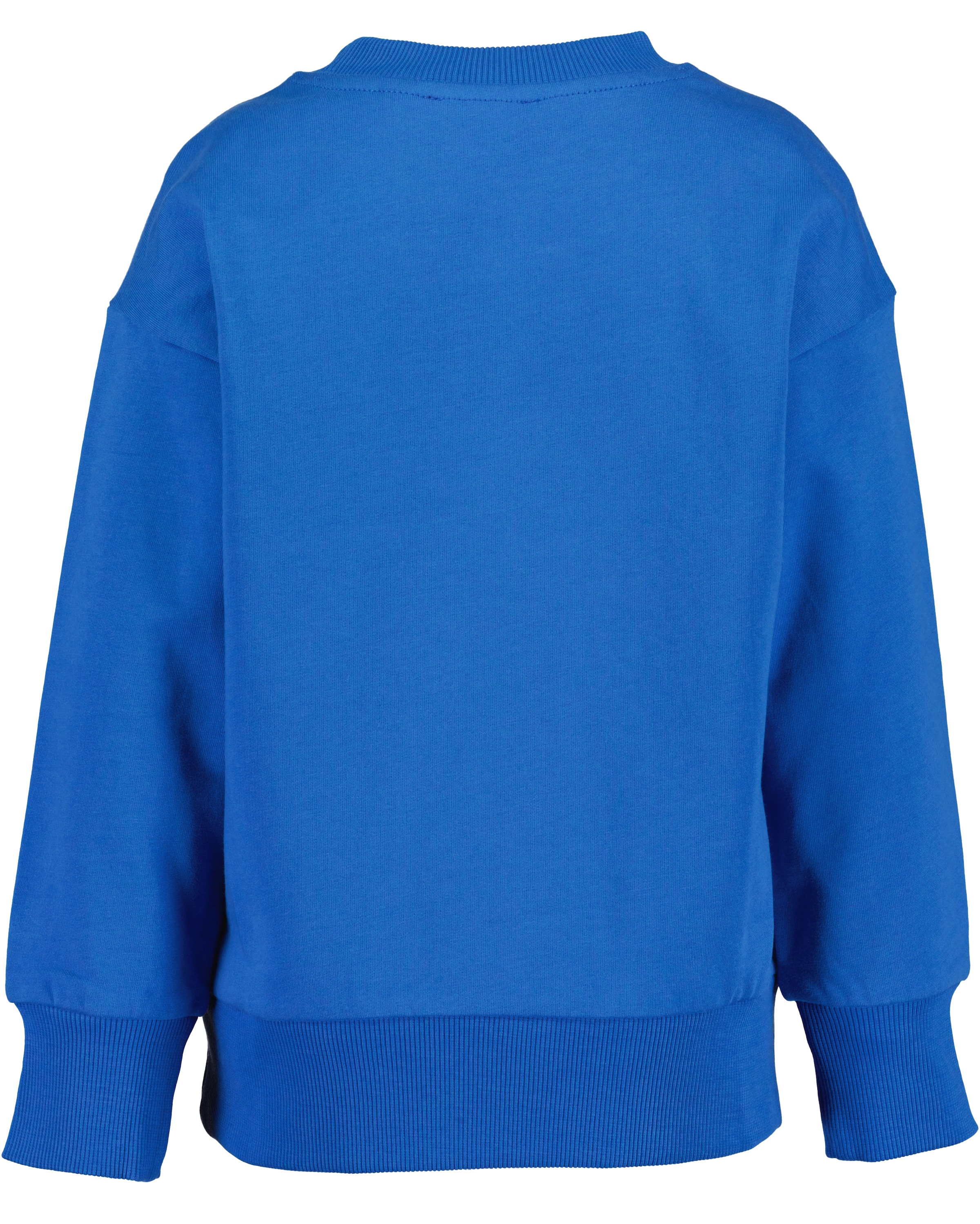 Blue Seven Sweatshirt, mit trendigen Dino-Prägungen - ein echter Hingucker!