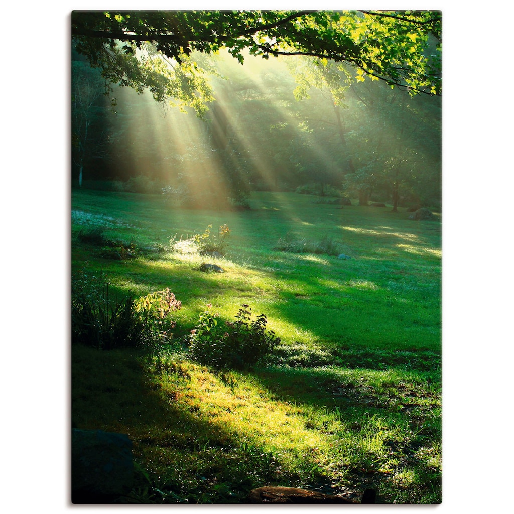 Artland Wandbild »Lichtkegel«, Wald, (1 St.)