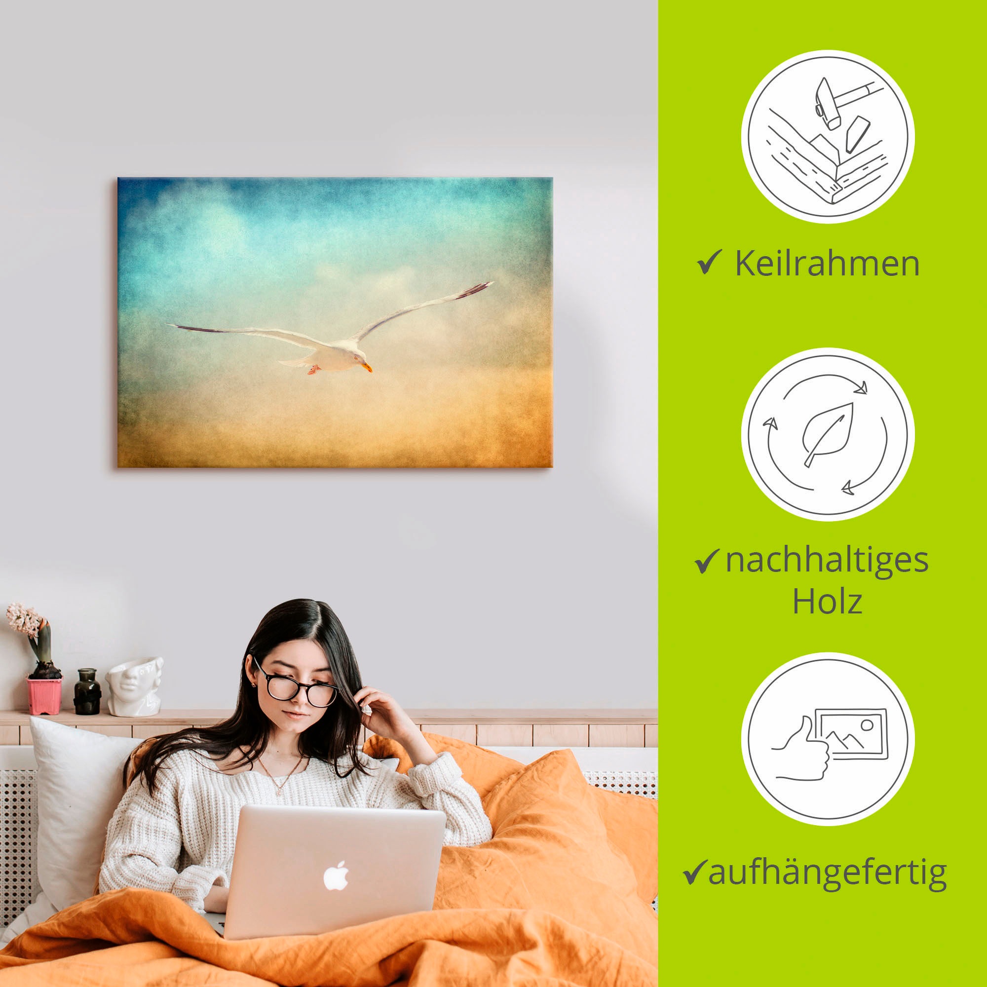 Artland Wandbild »Möwe«, Vögel, (1 St.), als Alubild, Outdoorbild, Leinwandbild in verschied. Größen