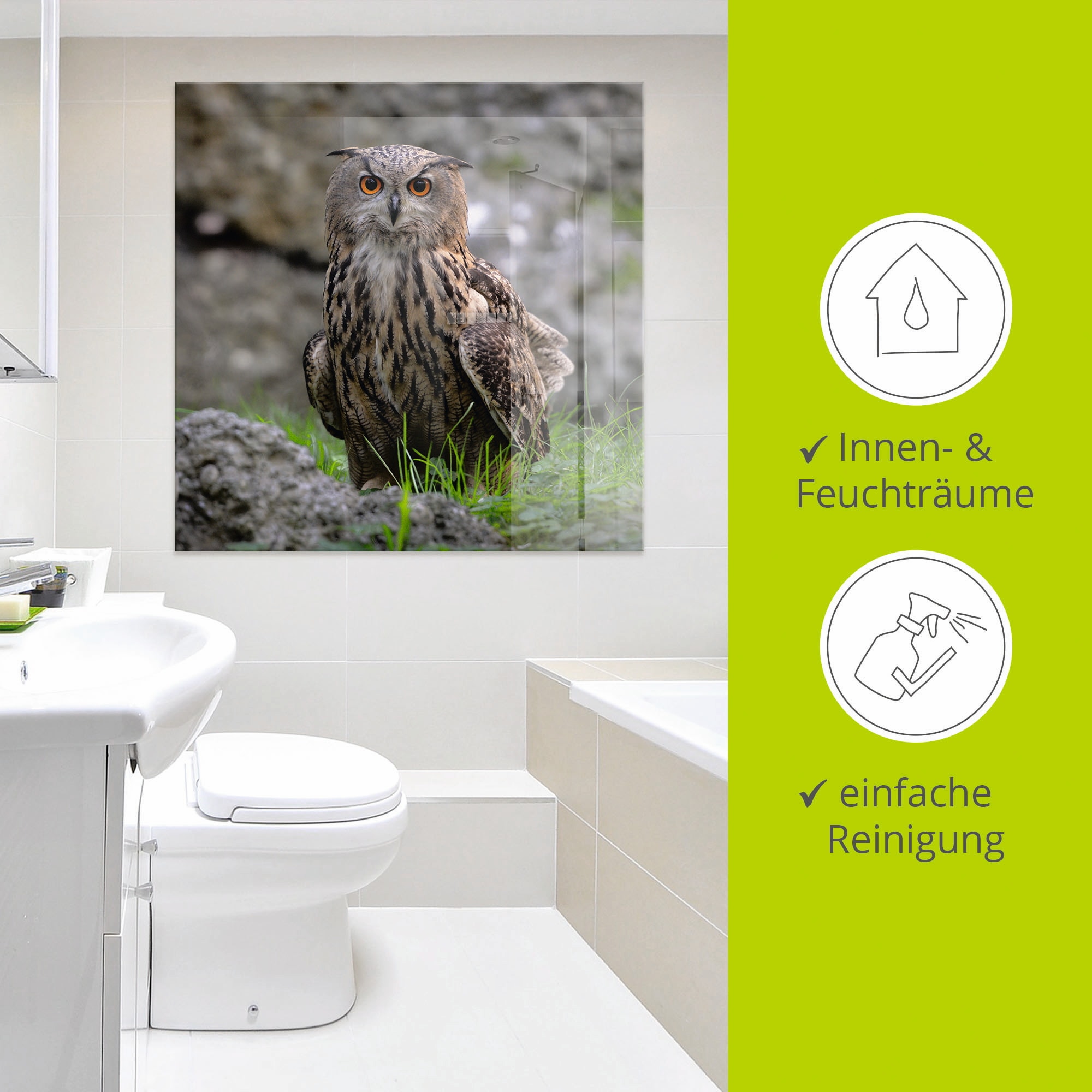 Artland Glasbild »Uhu«, Vögel, (1 St.), in verschiedenen Größen