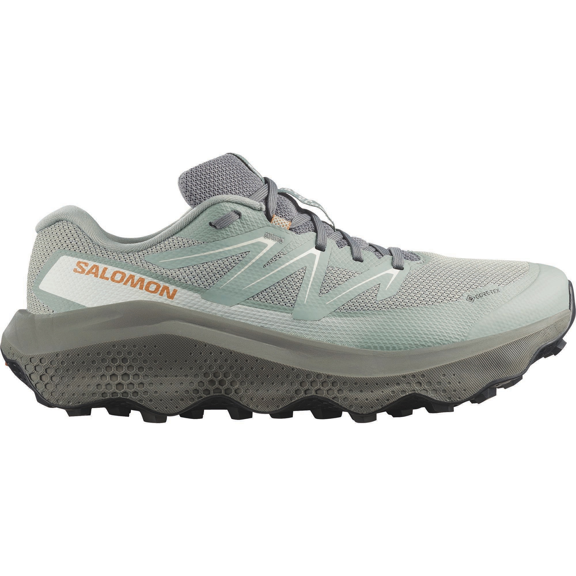 Salomon Trailrunningschuh »ULTRA FLOW 2 GTX«  wasserdicht