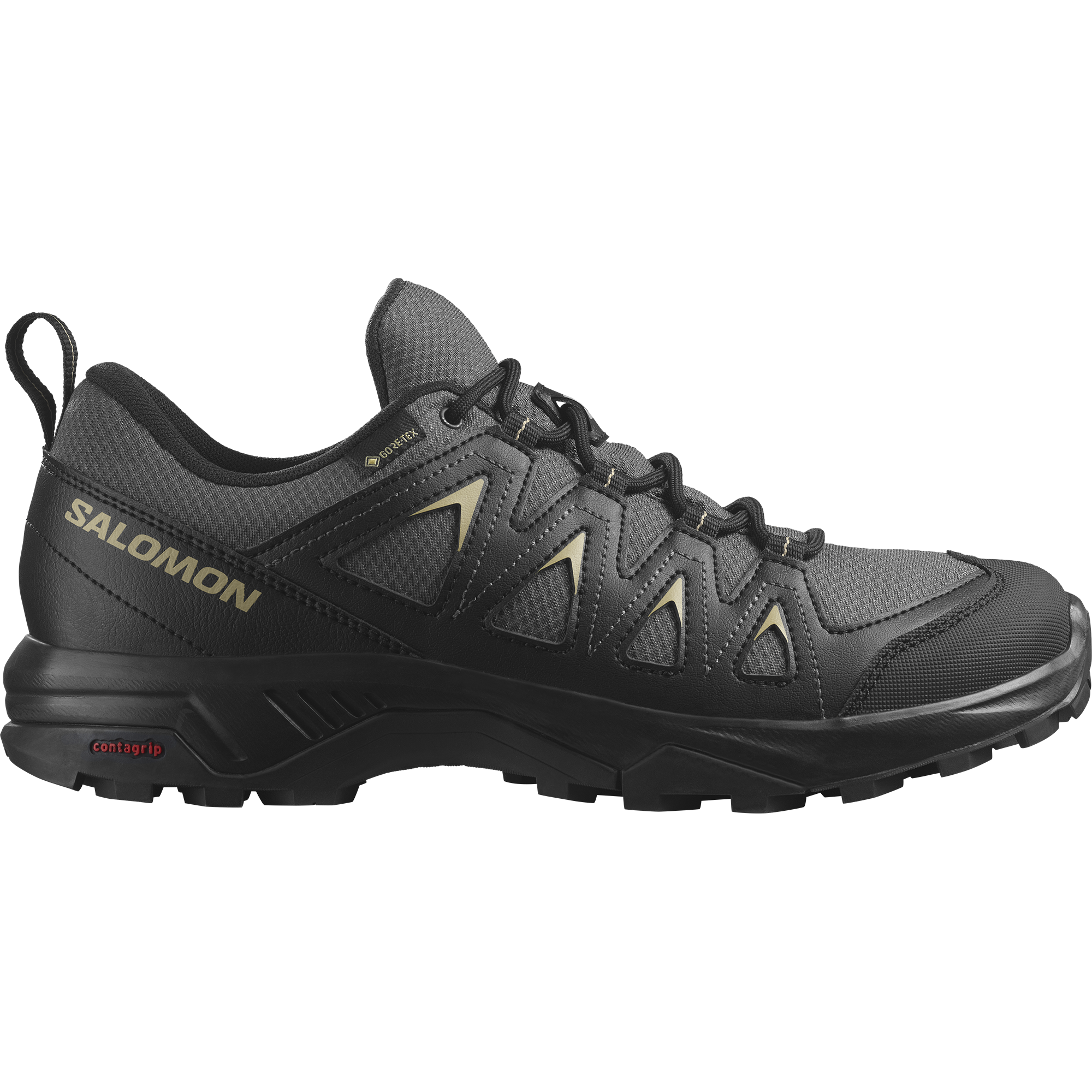 Salomon Wanderschuh »X BRAZE GORE-TEX«, wasserdicht