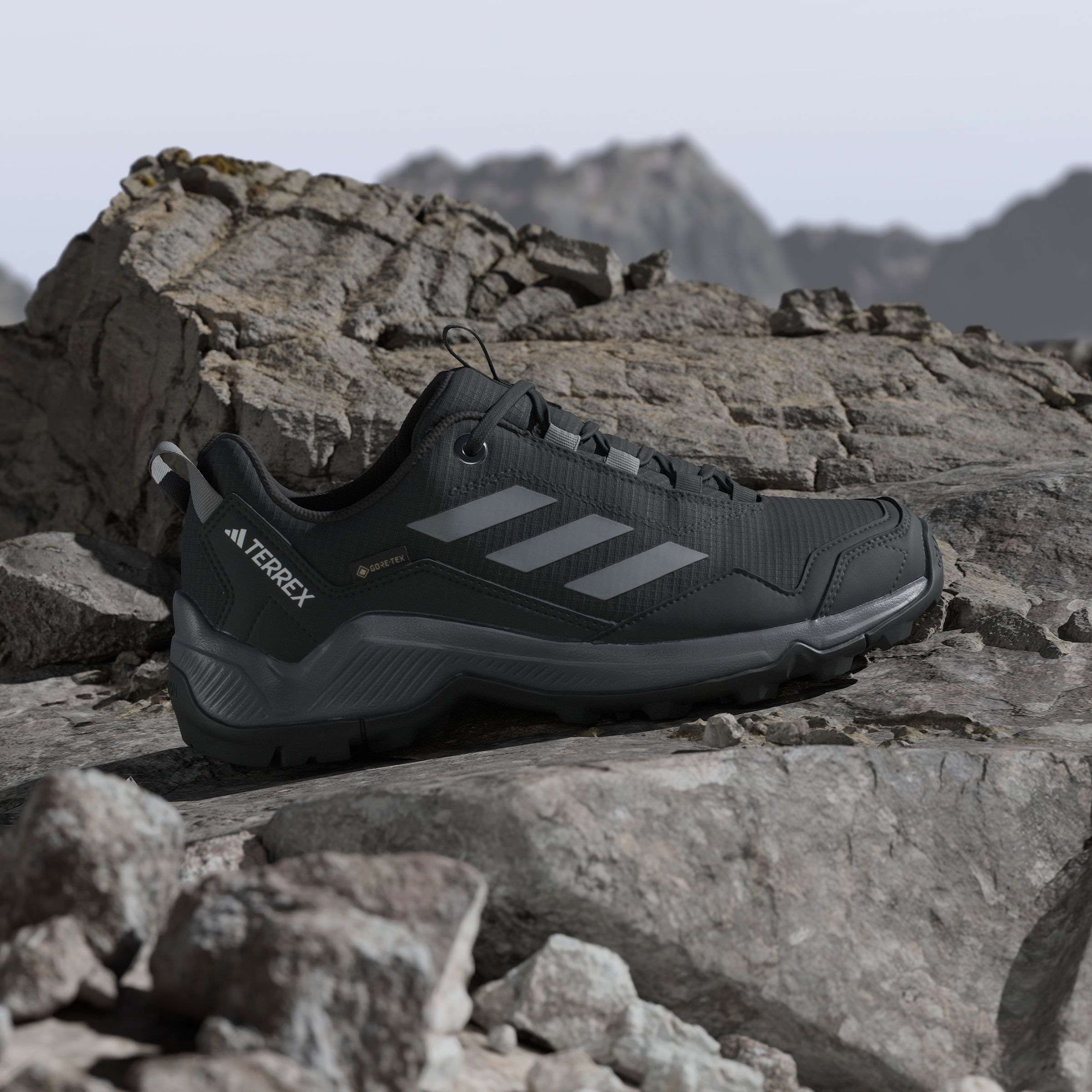 adidas TERREX Wanderschuh »TERREX EASTRAIL GORE-TEX«
