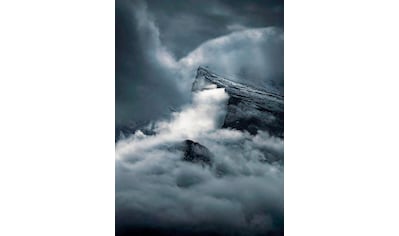 Komar Poster »Arrowhead«, Natur, Höhe: 40cm kaufen