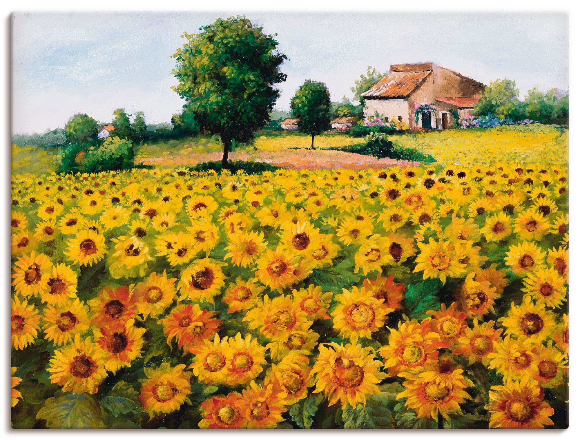 Artland Wandbild »Feld mit Sonnenblumen«, Blumen, (1 St.), in vielen Größen & Produktarten -Leinwandbild, Poster, Wandaufkleber / Wandtattoo auch für Badezimmer geeignet