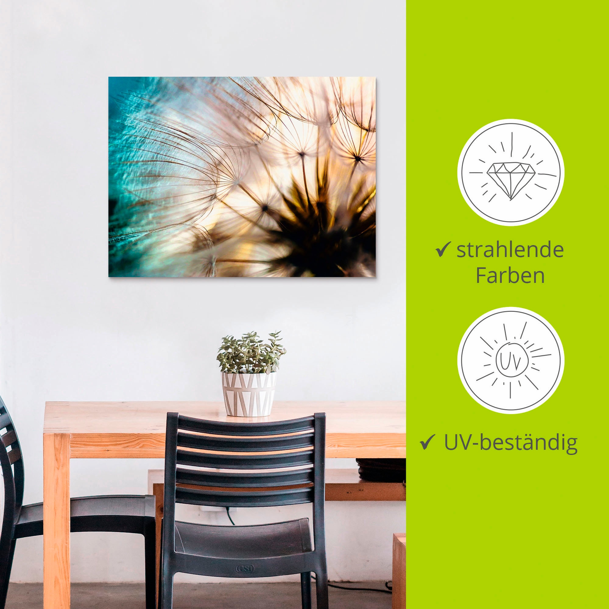 Artland Wandbild »Pusteblume Makro abstrakt« Blumen 1 Stk. tlg. als Alubild, Leinwandbild in verschied. Größen