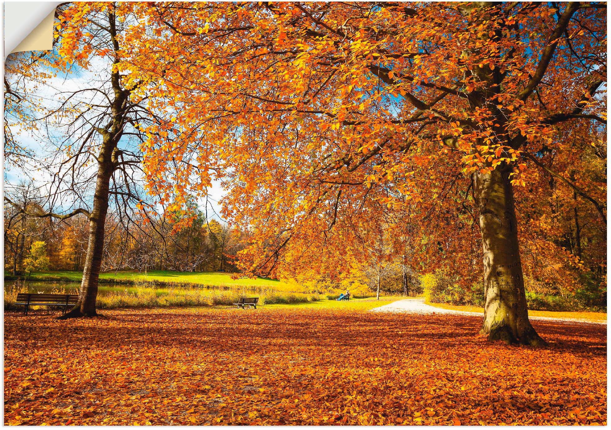 Artland Wandbild »Herbst Alubild, versch. oder St.), Leinwandbild, in Bäume, Wiesen OTTO (1 Nymphenburg«, Poster Schlosses Größen bei & bestellen Wandaufkleber als bei