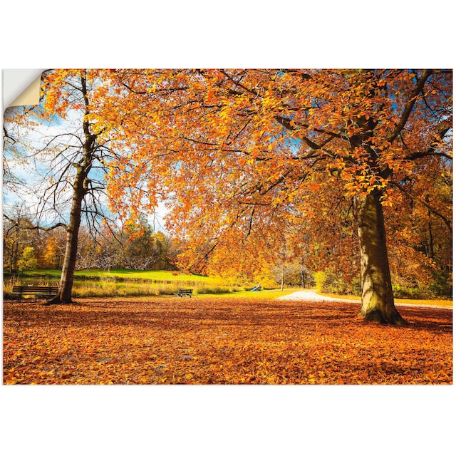 St.), Wandaufkleber Bäume, Artland Wiesen Schlosses (1 OTTO bei bestellen versch. Leinwandbild, Poster oder Größen als bei & Wandbild »Herbst Alubild, in Nymphenburg«,