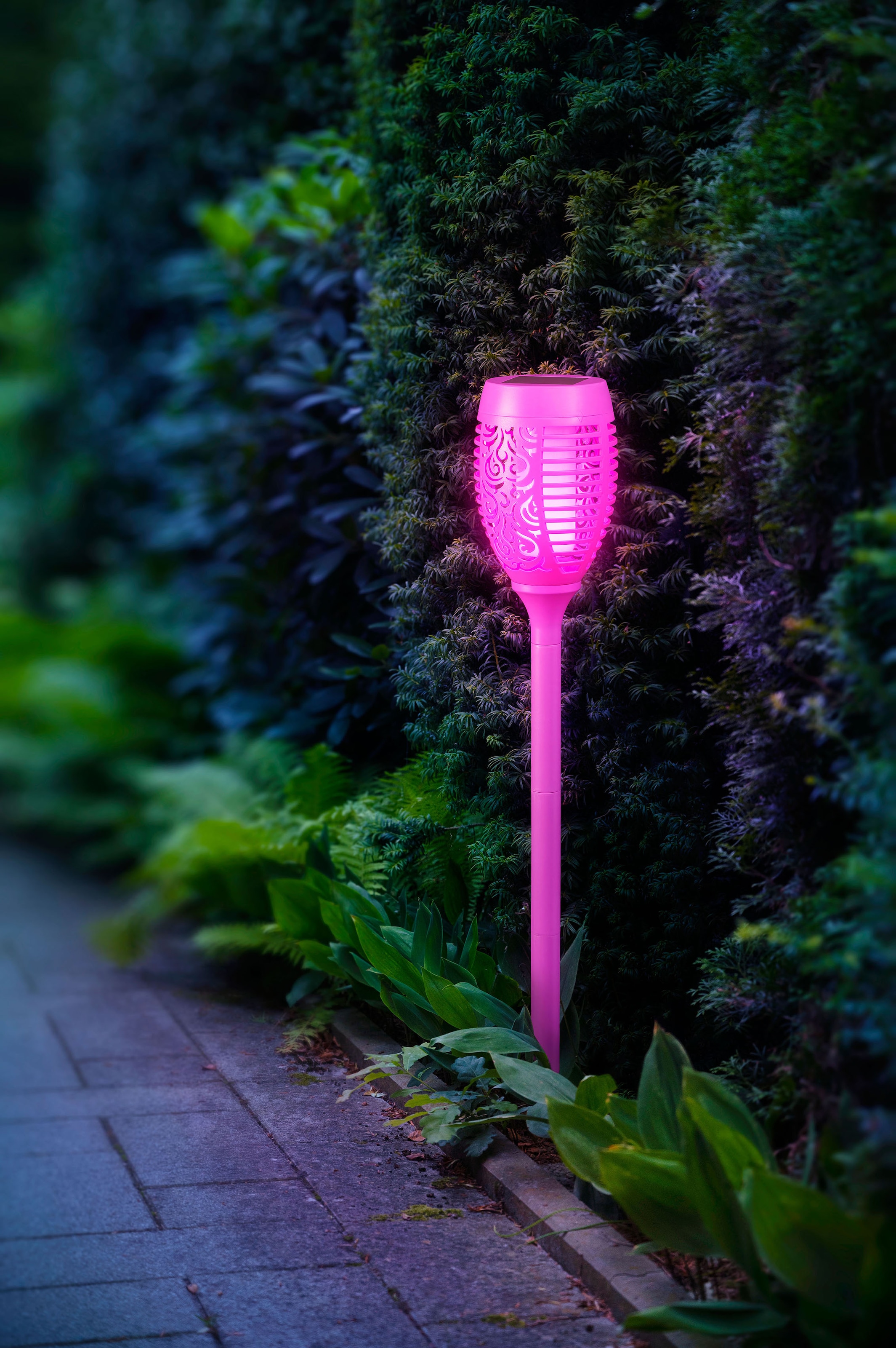 BONETTI LED Gartenfackel, Leuchtmittel LED-Modul | LED fest integriert, LED Solar Gartenfackel lila mit realer Flamme 3er Set