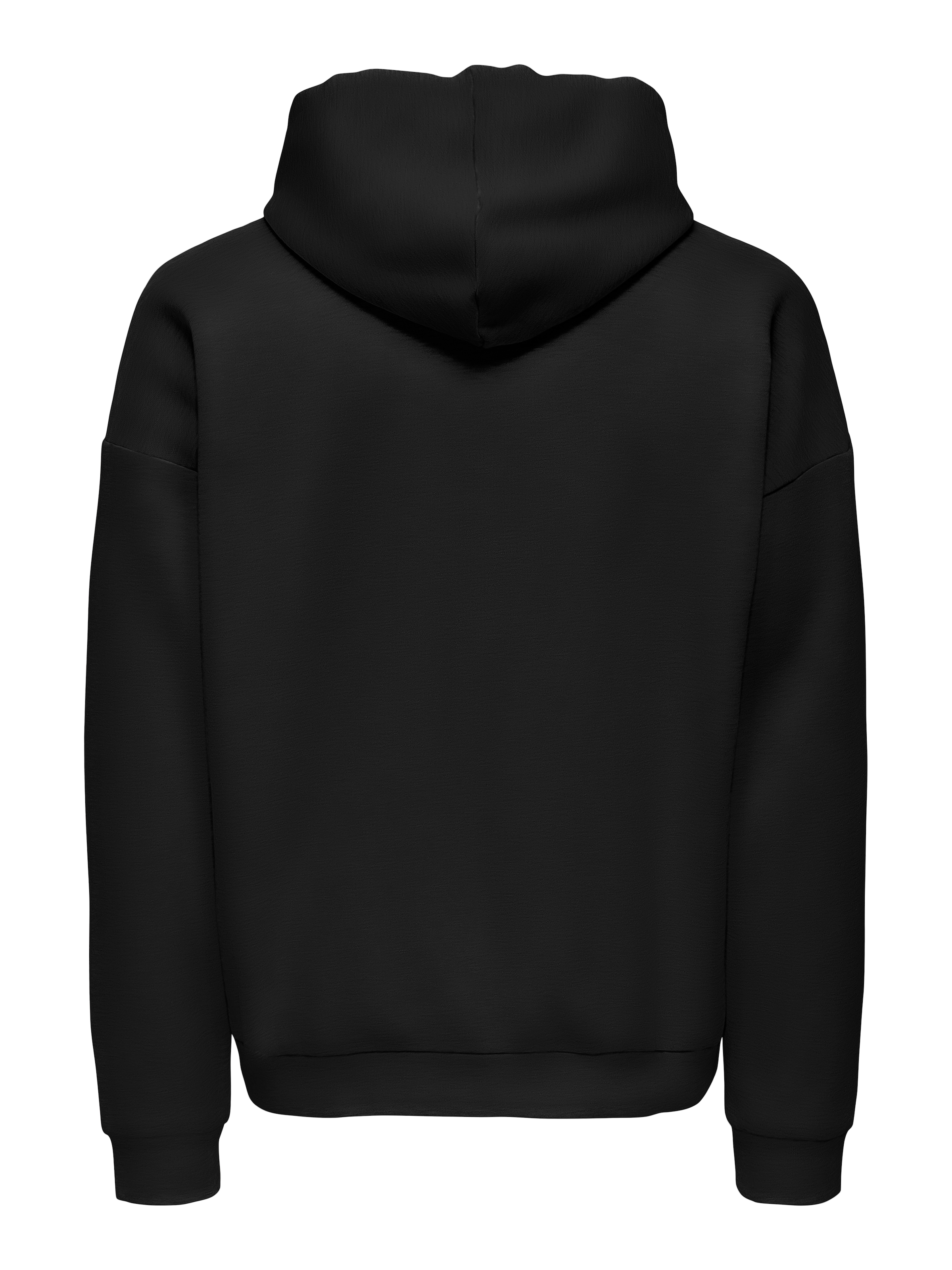 ONLY & SONS Kapuzensweatshirt »ONSCHASE REG ZIP HOOD OTL«
