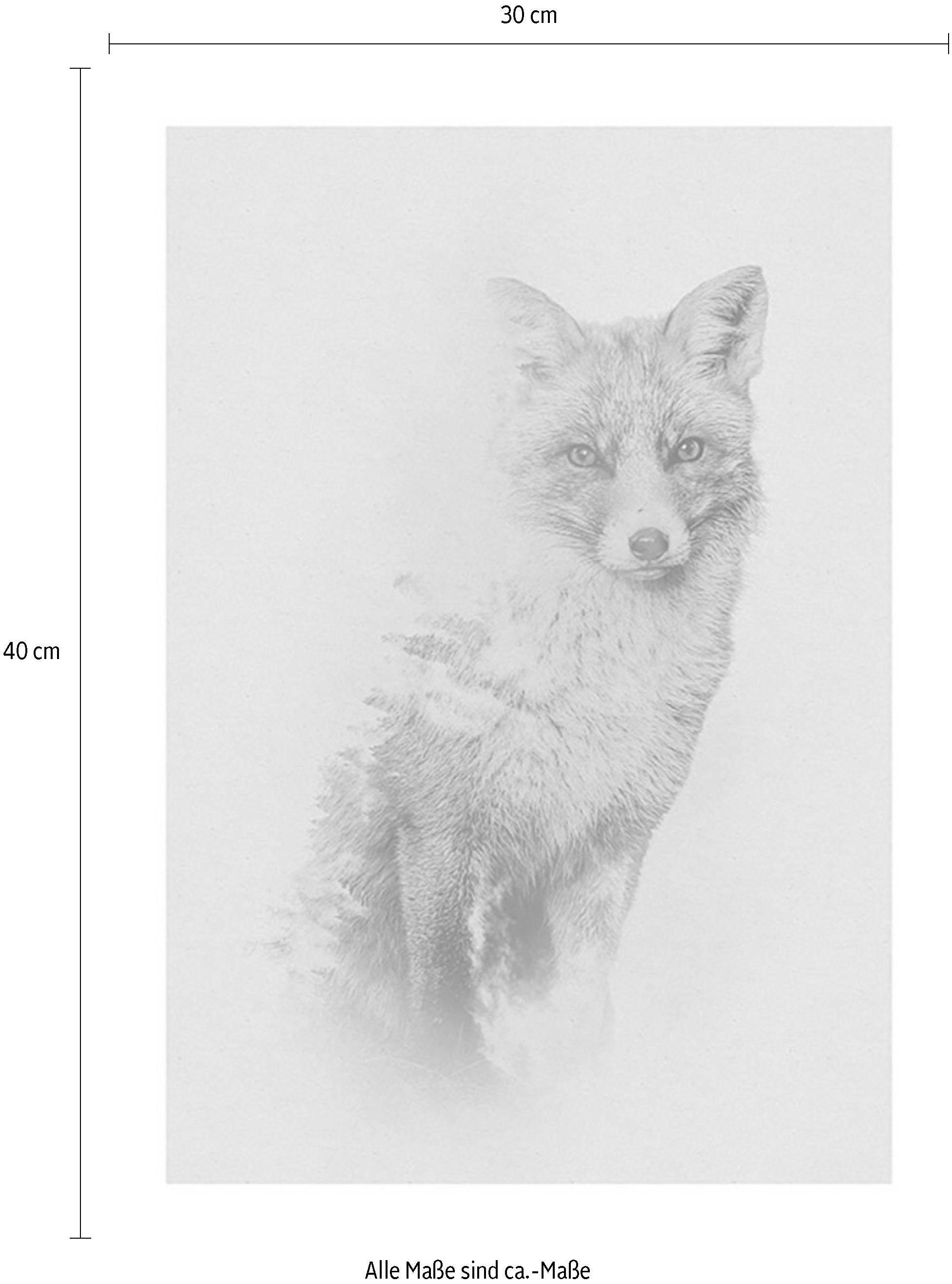 Online OTTO »Animals Poster Tiere, Wohnzimmer Forest Schlafzimmer, Kinderzimmer, (1 St.), Komar Fox«, Shop im