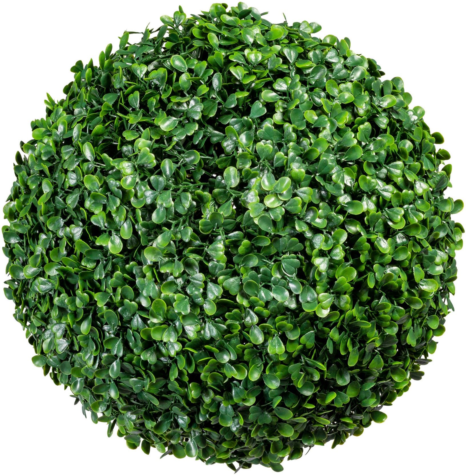 Creativ Green Kunstpflanze »Buchsbaumkugel« in grün, Größe Ø/H: 28 cm x 28 cm