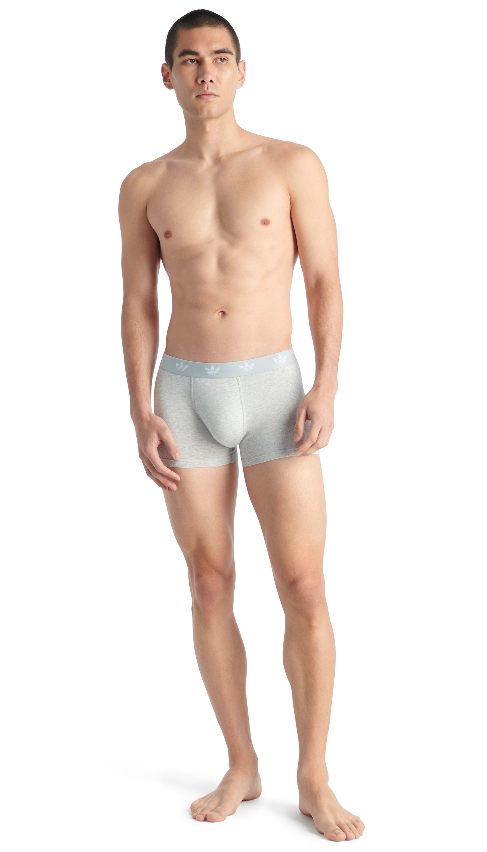 adidas Originals Trunk »Comfort Flex Cotton«, (2er Pack), mit elastischem Logobund für Komfort