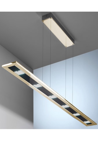 EVOTEC LED Pendelleuchte »DESIGNLINE«, LED-Board, Warmweiß-Neutralweiß-Tageslichtweiß,... kaufen
