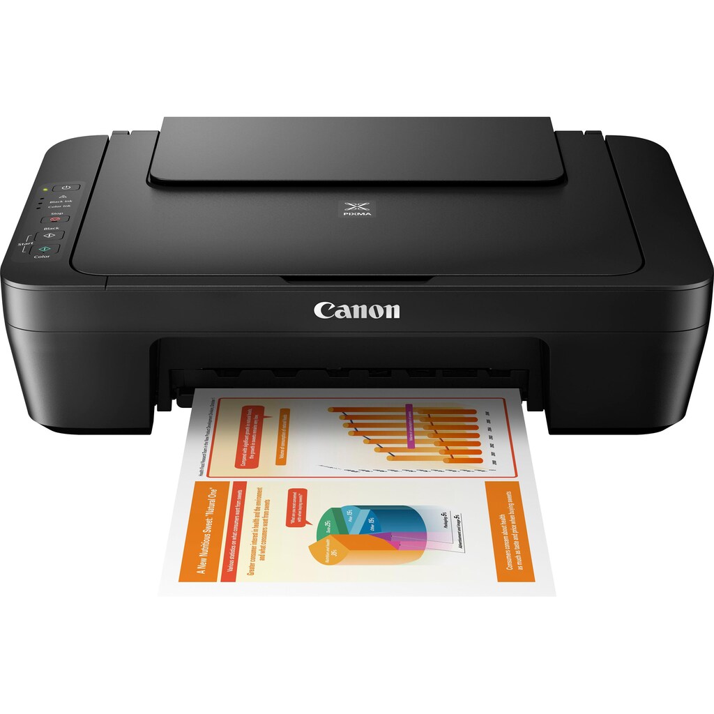 Canon Multifunktionsdrucker »PIXMA MG2555S«