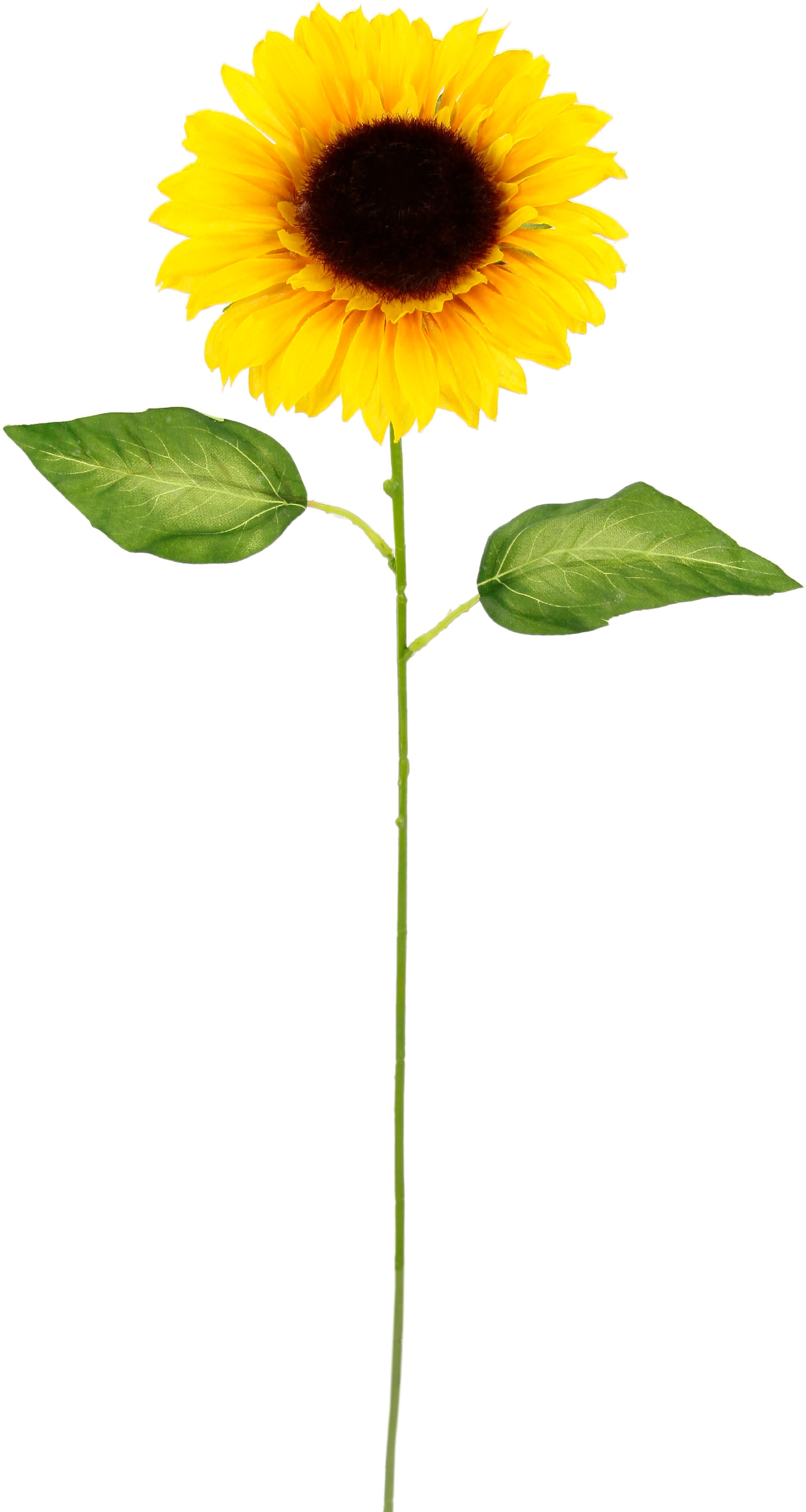 I.GE.A. Kunstblume »Sonnenblume«, (5 bei 5er Einzelblume, Stielblume, St.), OTTO Set