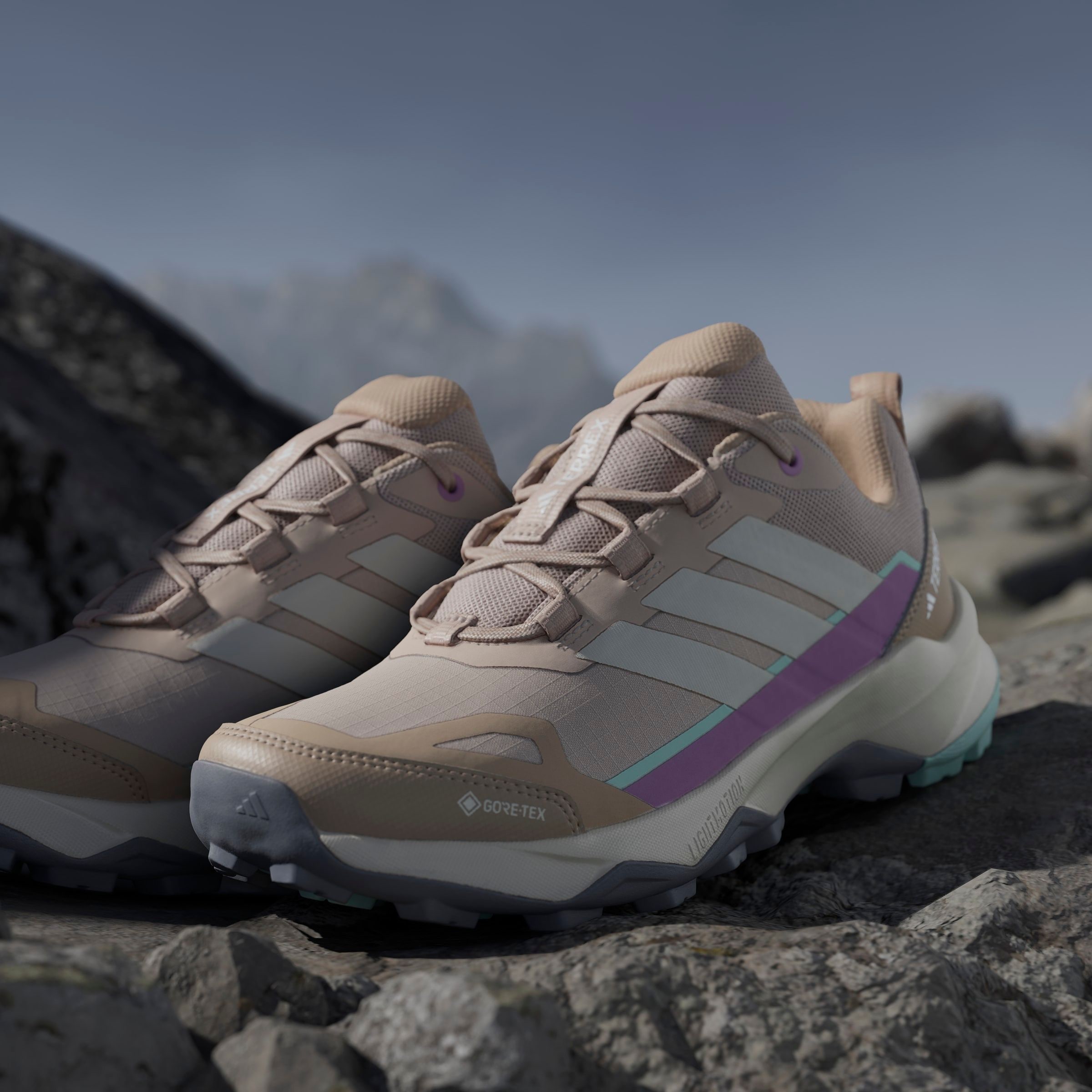 adidas TERREX Wanderschuh »TERREX SKYCHASER AX5 GORE-TEX«, wasserdicht