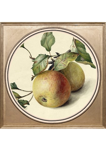 queence Acrylglasbild »Apfel« kaufen