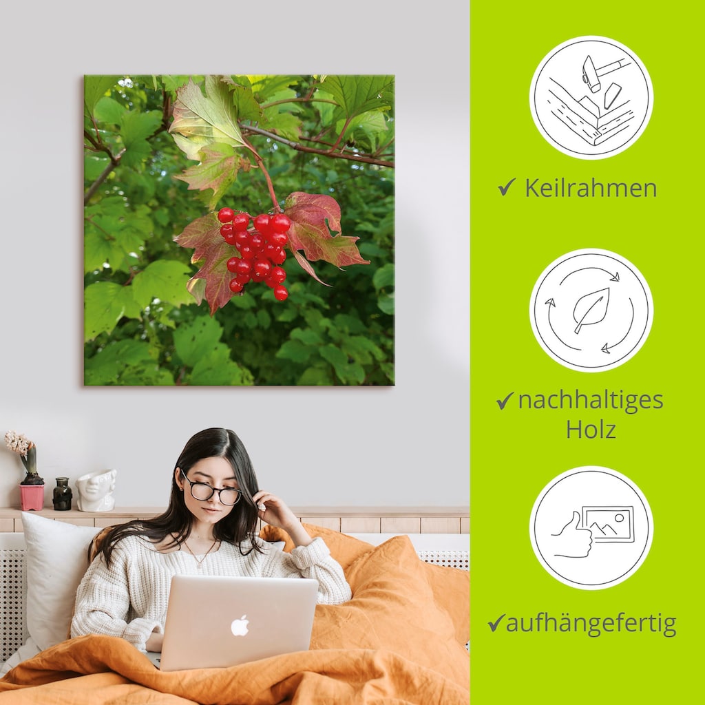 Artland Wandbild »Rote Wildbeeren«, Blätterbilder, (1 St.), als Alubild, Leinwandbild, Wandaufkleber oder Poster in versch. Größen