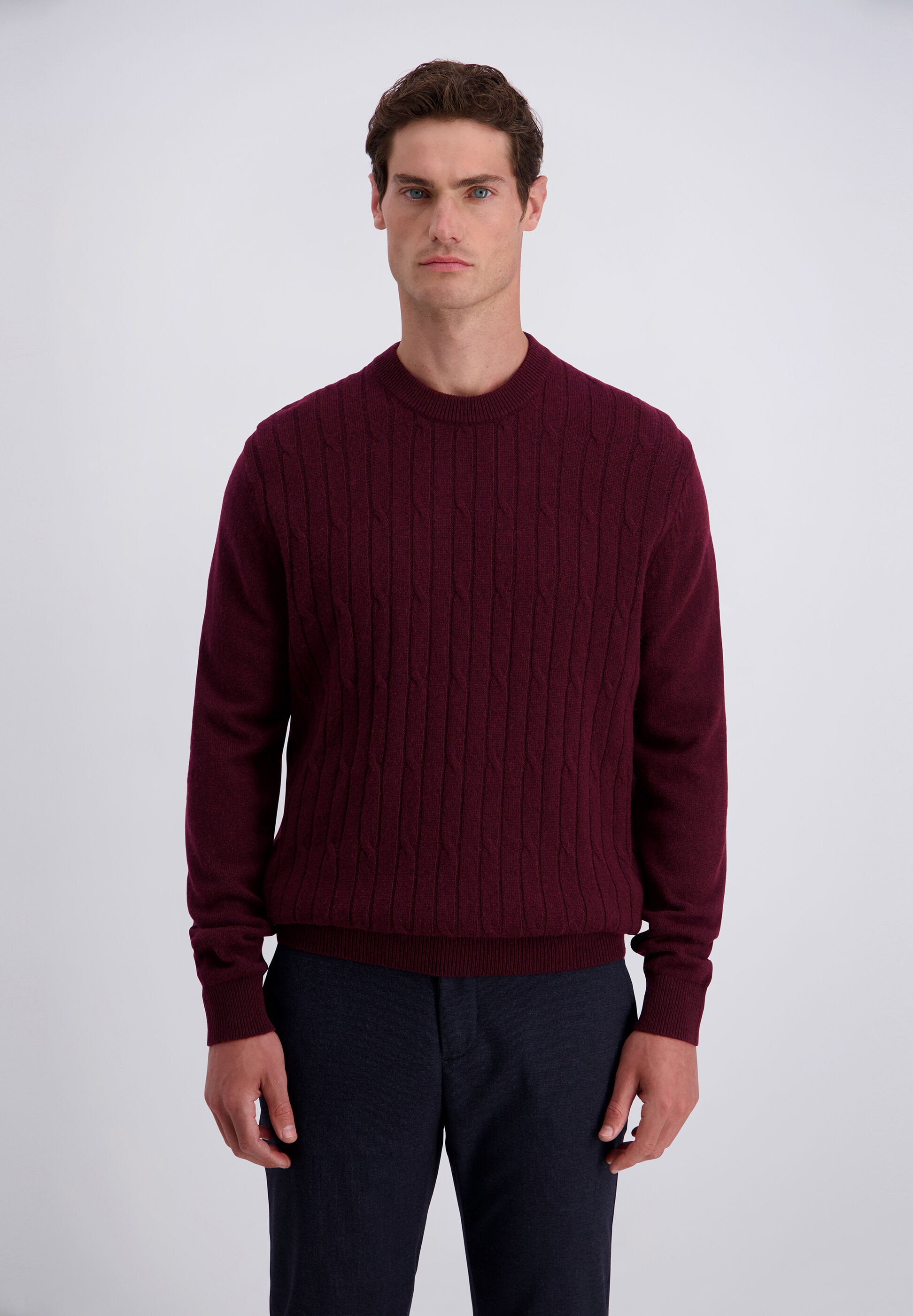 Pierre Cardin Strickpullover »Pierre Cardin Pullover« aus einer Wollmischung