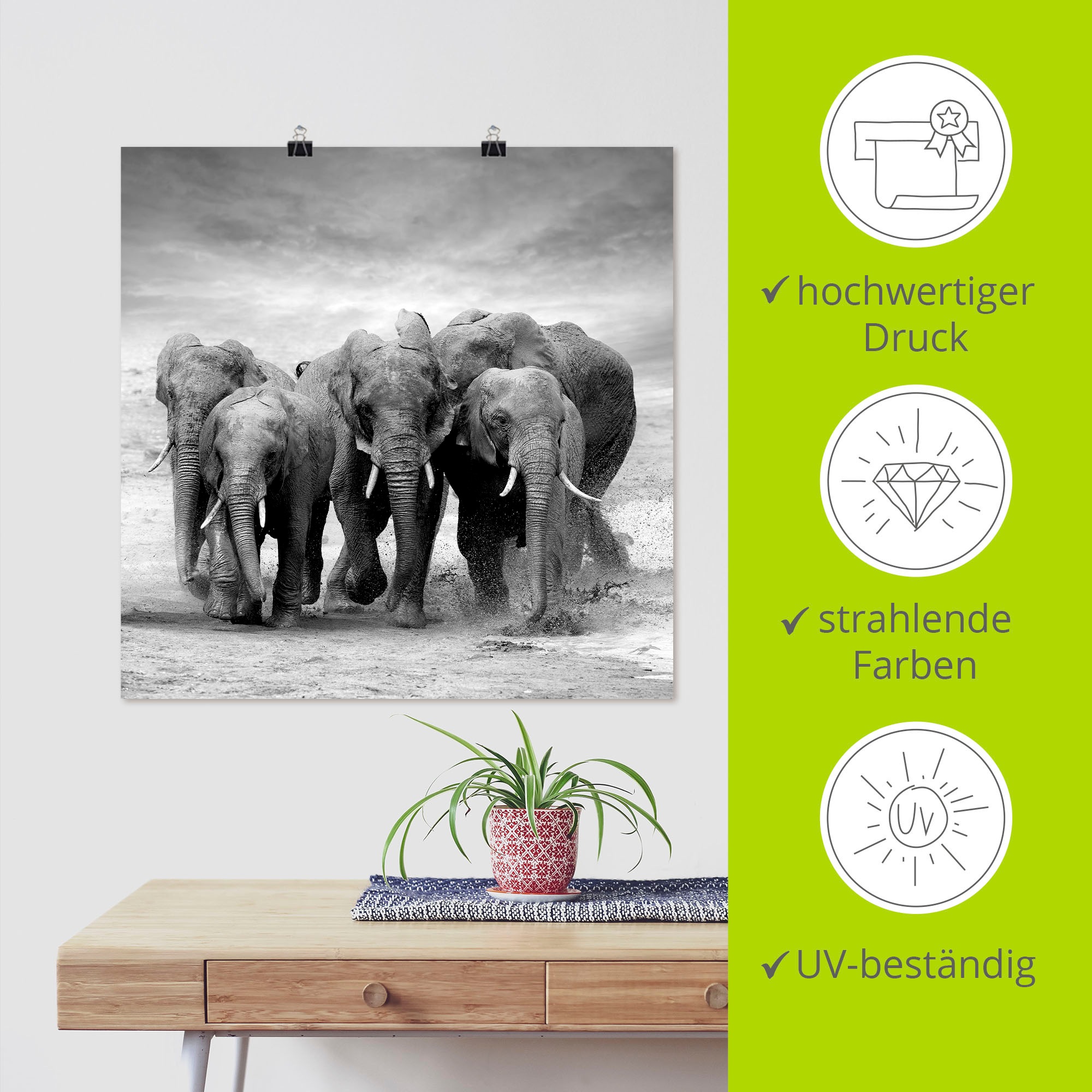 Artland Wandbild »Elefanten« Wildtiere 1 Stk. tlg. als Leinwandbild, Poster, Wandaufkleber in verschied. Größen