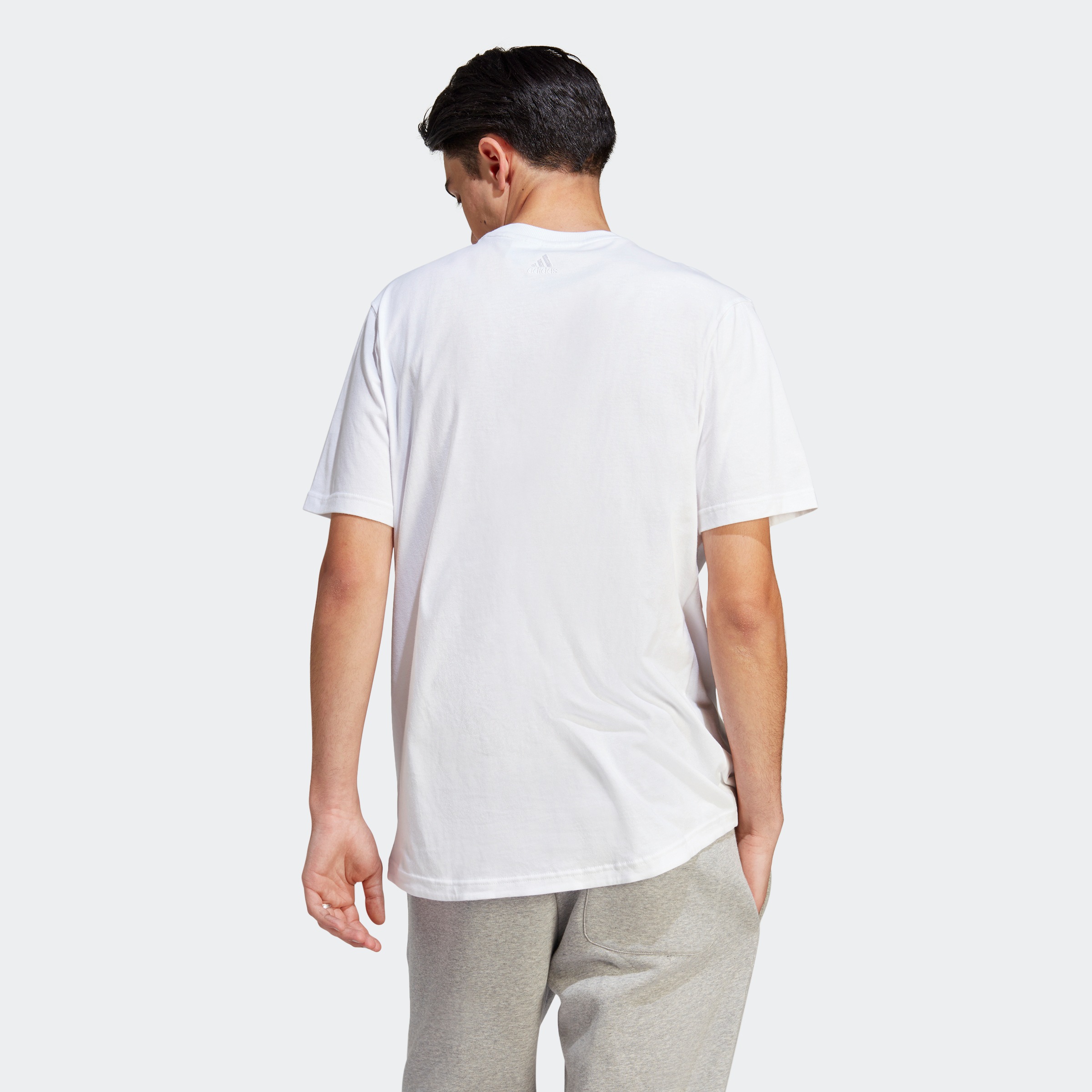 adidas Sportswear T-Shirt »ALL SZN GRAPHIC«
