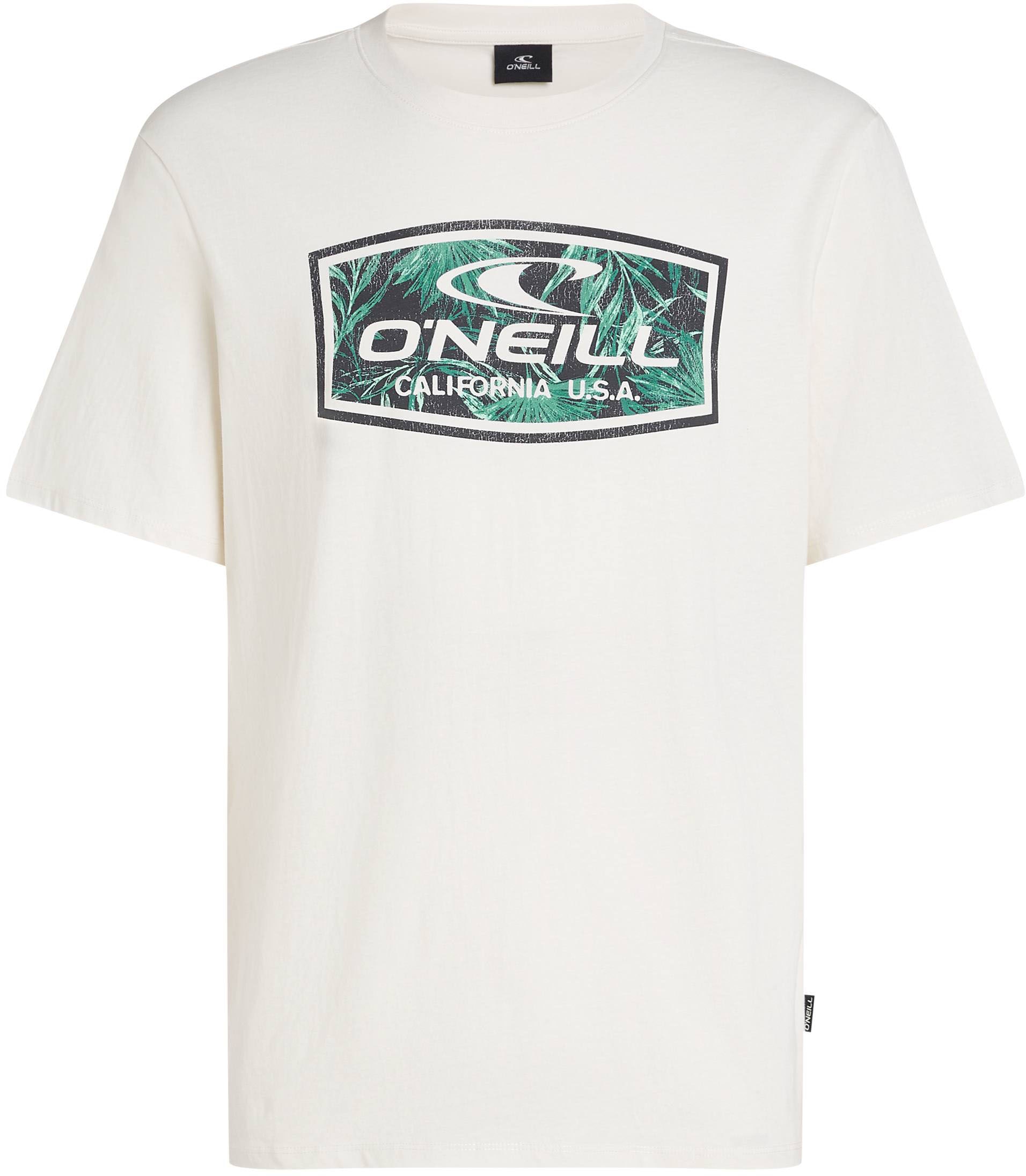 O'Neill T-Shirt »O'NEILL GRAPHIC T-SHIRT«, (1 tlg.)