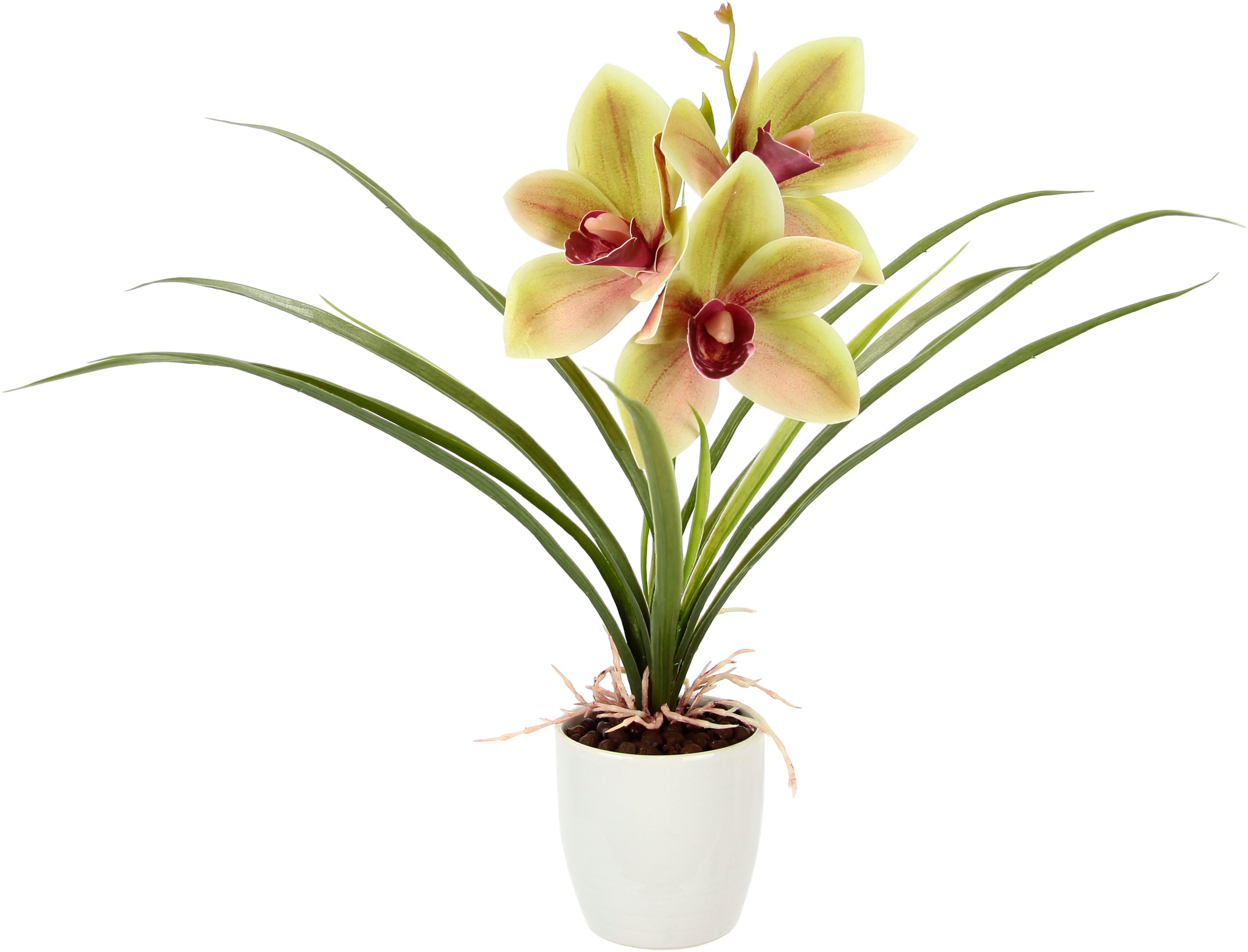 I.GE.A. Kunstblume »Orchidee«, Mit Blätter im Topf aus Keramik Künstliche Blume Cymbidium-Orchidee