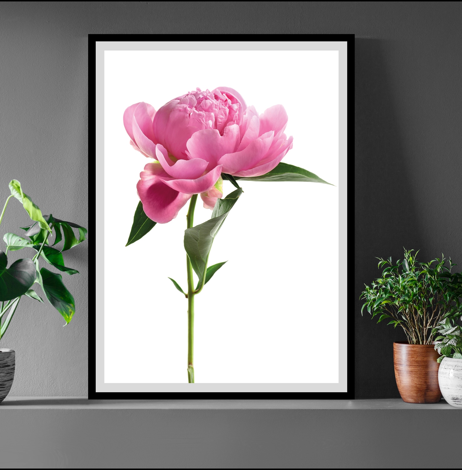 queence Bild »Scar« Blumen | Blumenbilder | Kunst | Pflanzen Rosen, gerahmt
