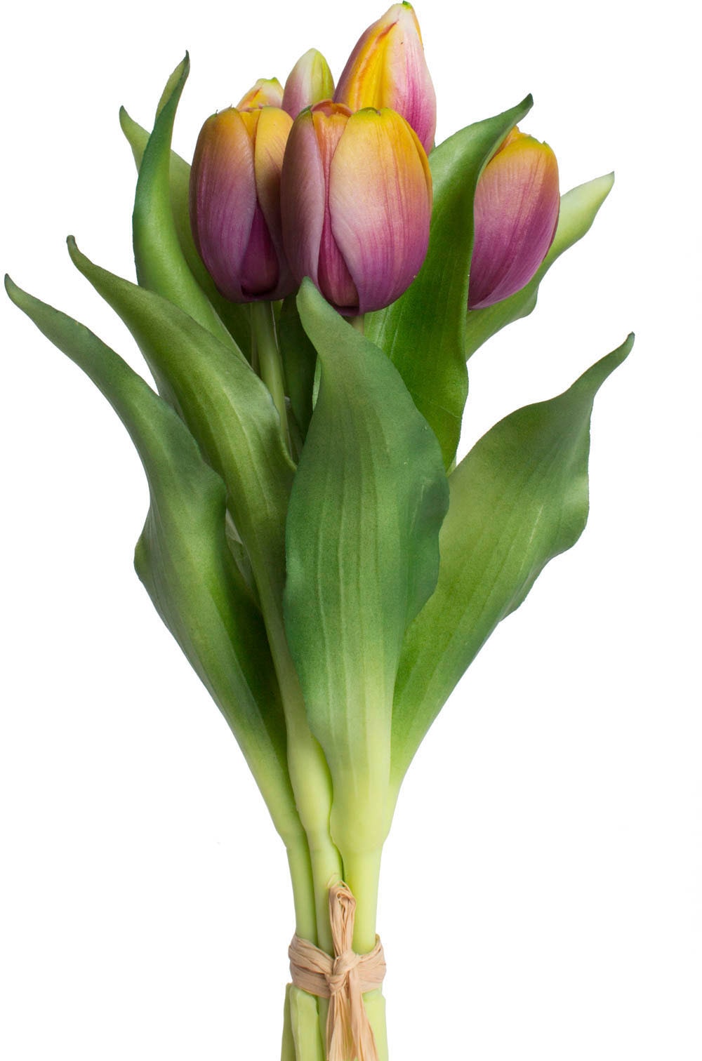 Botanic-Haus Kunstblume »Willa«, im Shop im Online Tulpenbündel bestellen 7er-Set OTTO